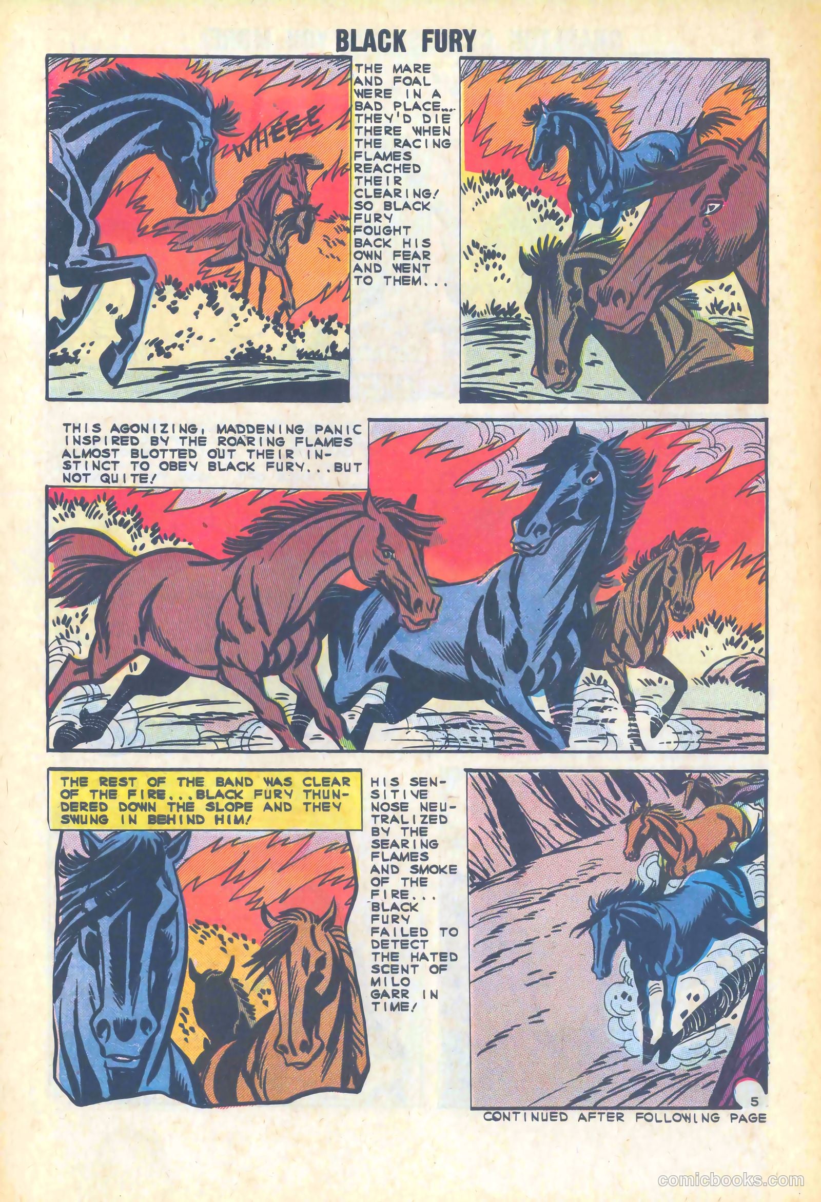 Black Fury #47 — page 30 of 36