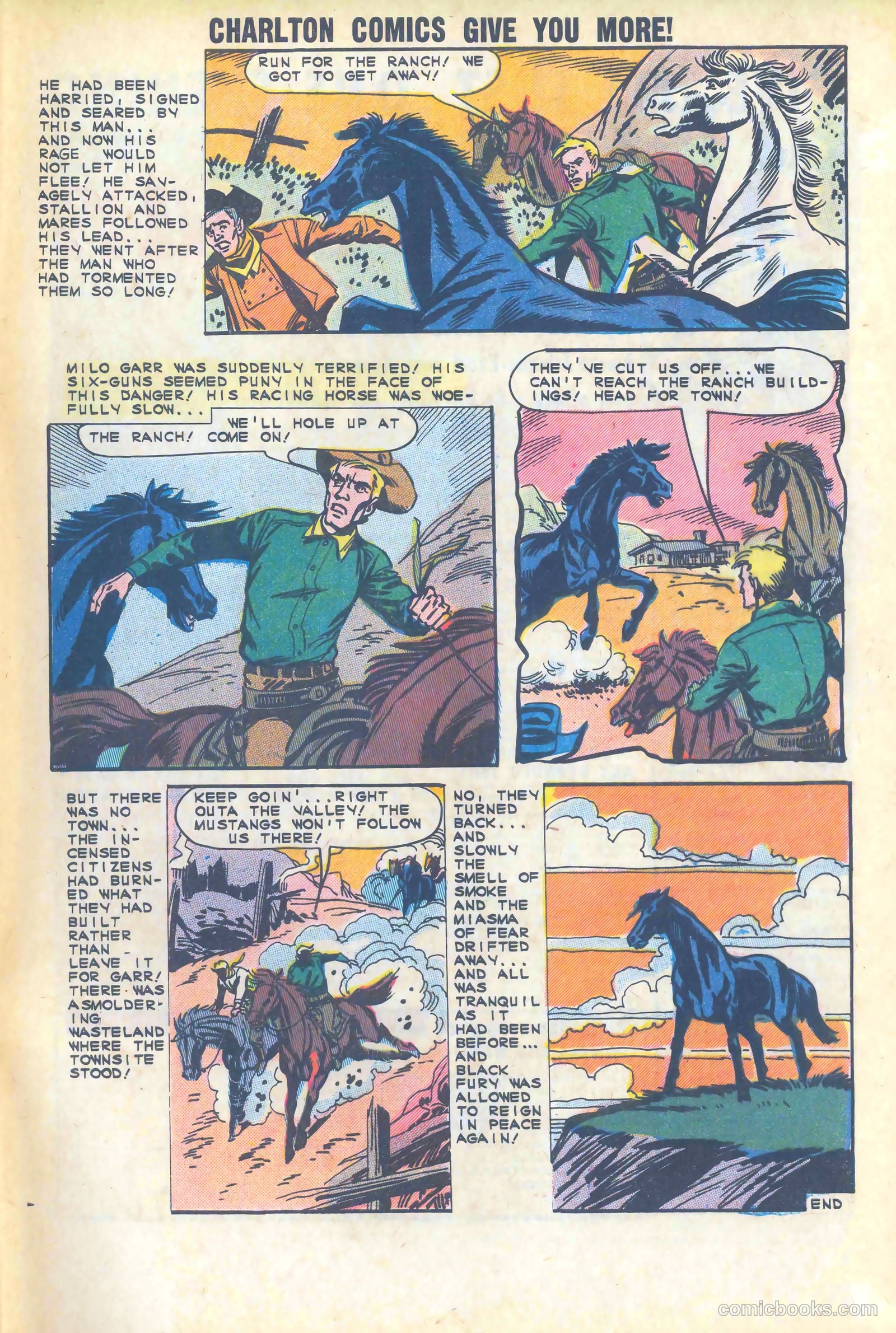 Black Fury #47 — page 33 of 36