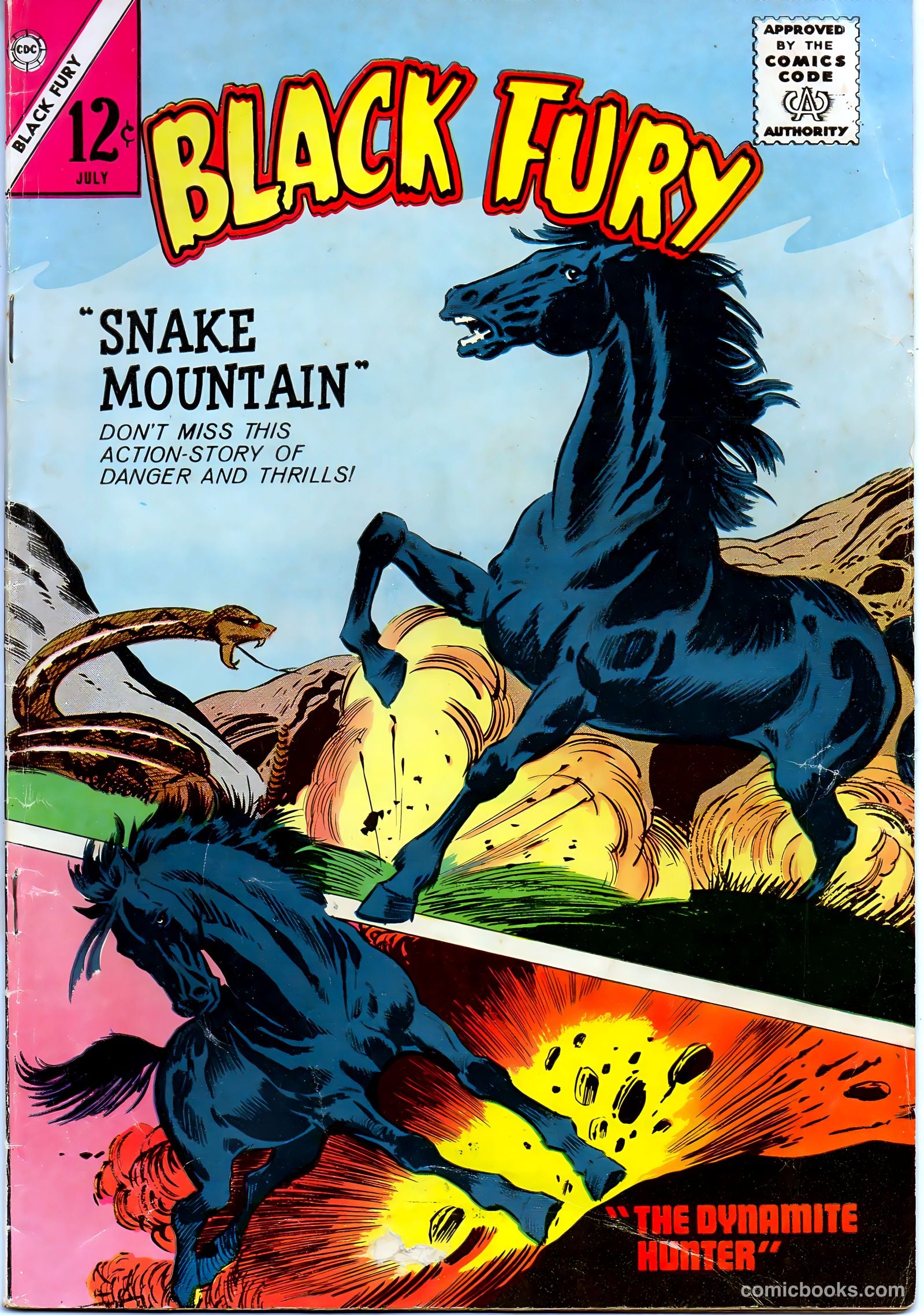 Black Fury #48 — page 1 of 36