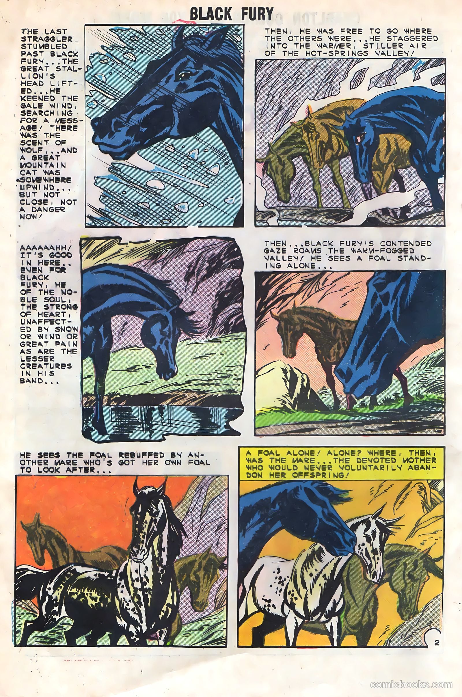 Black Fury #48 — page 4 of 36