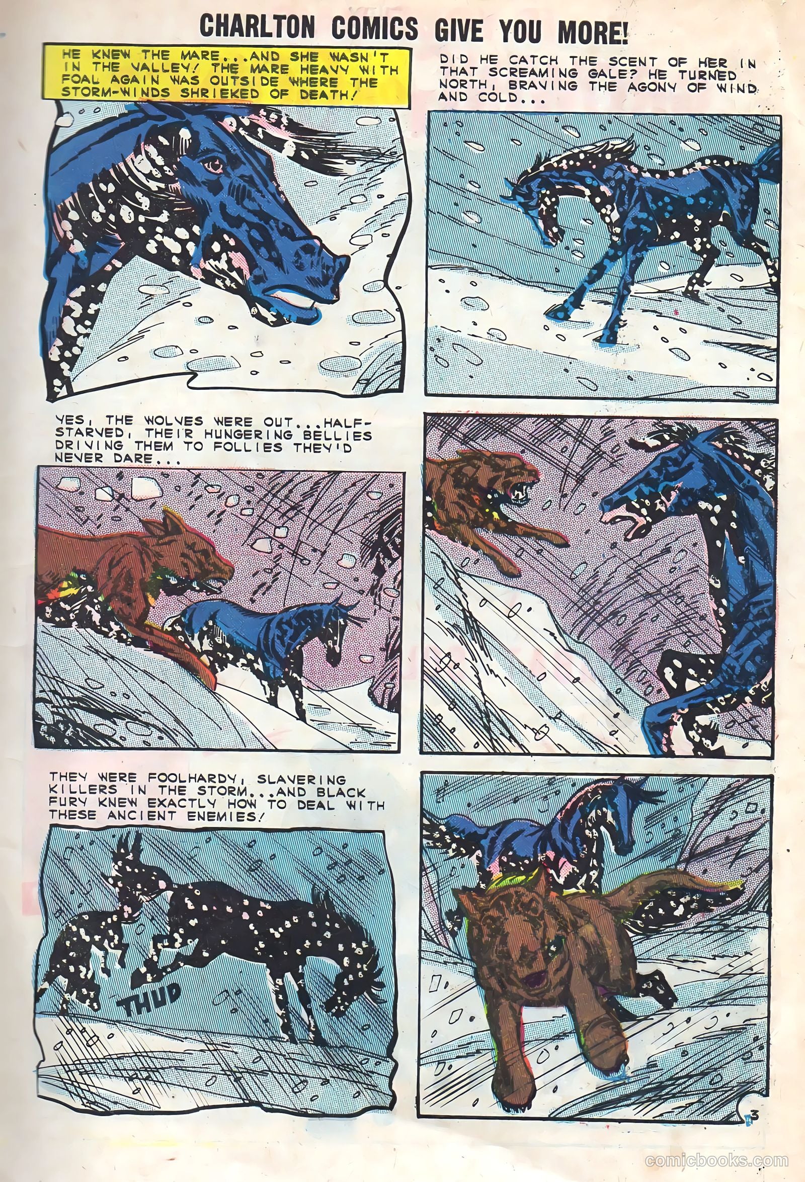 Black Fury #48 — page 5 of 36