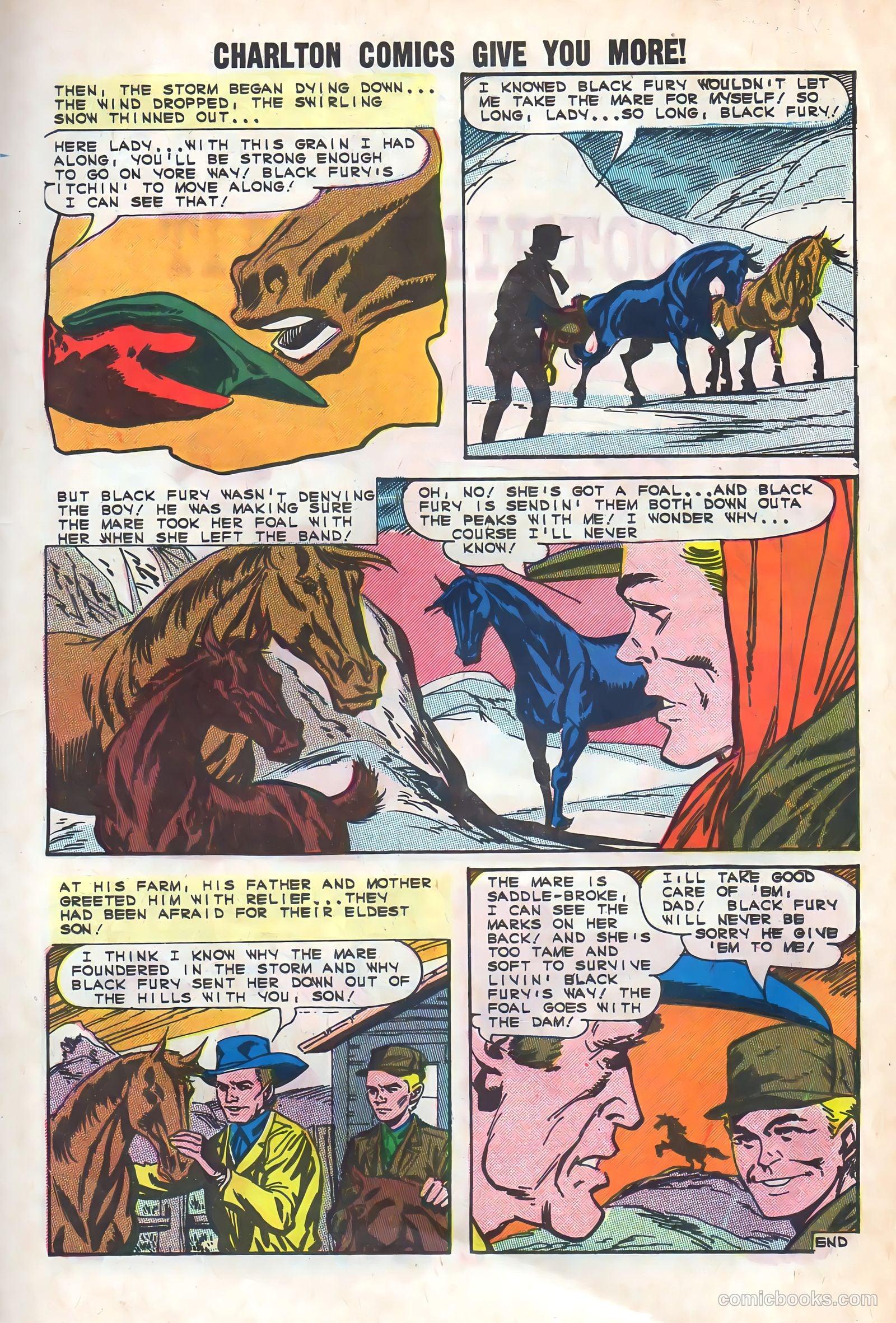 Black Fury #48 — page 11 of 36