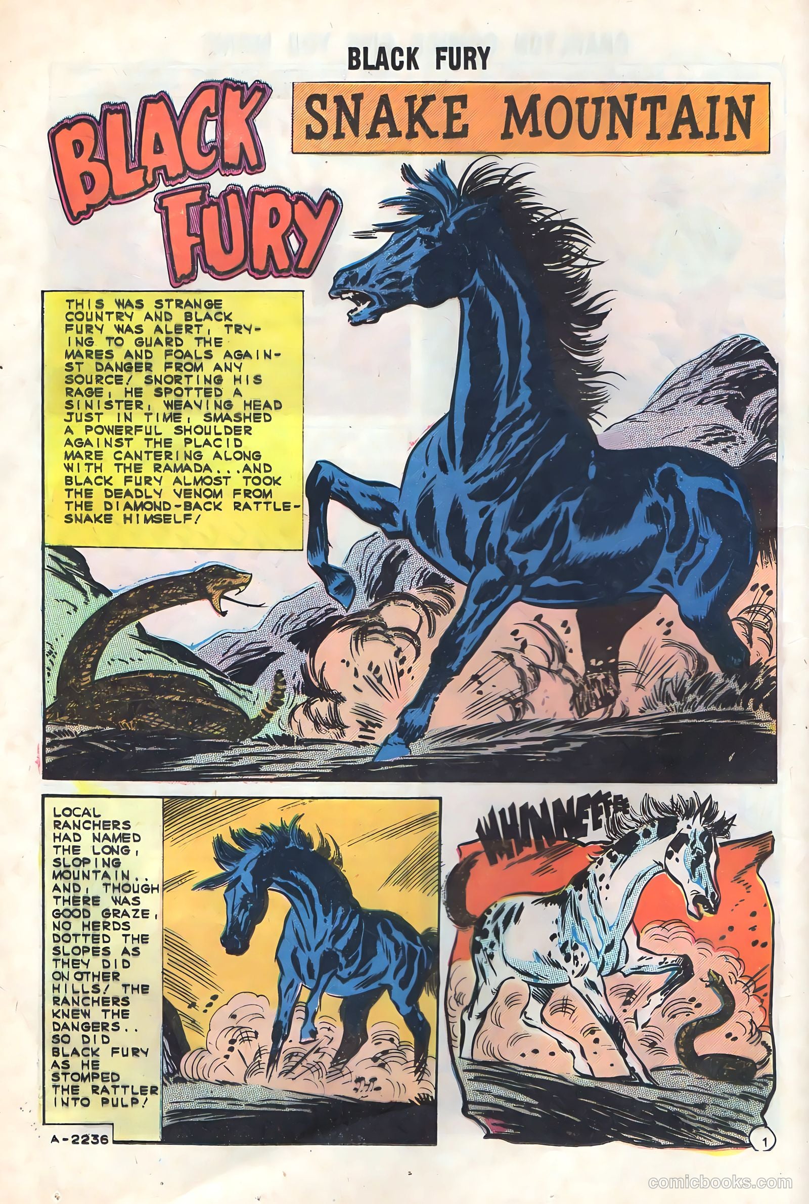 Black Fury #48 — page 24 of 36