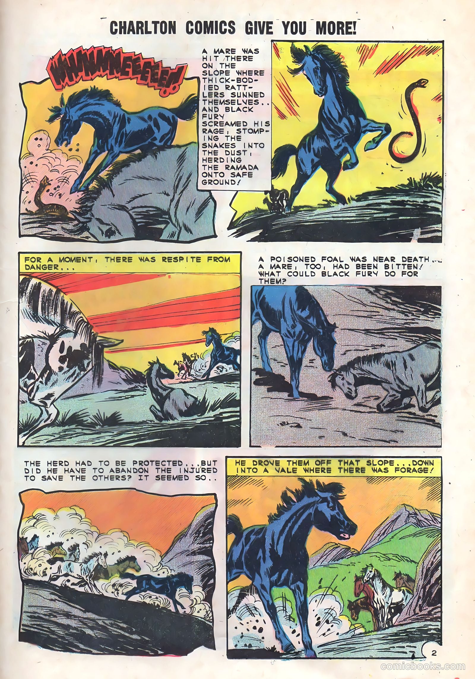 Black Fury #48 — page 25 of 36