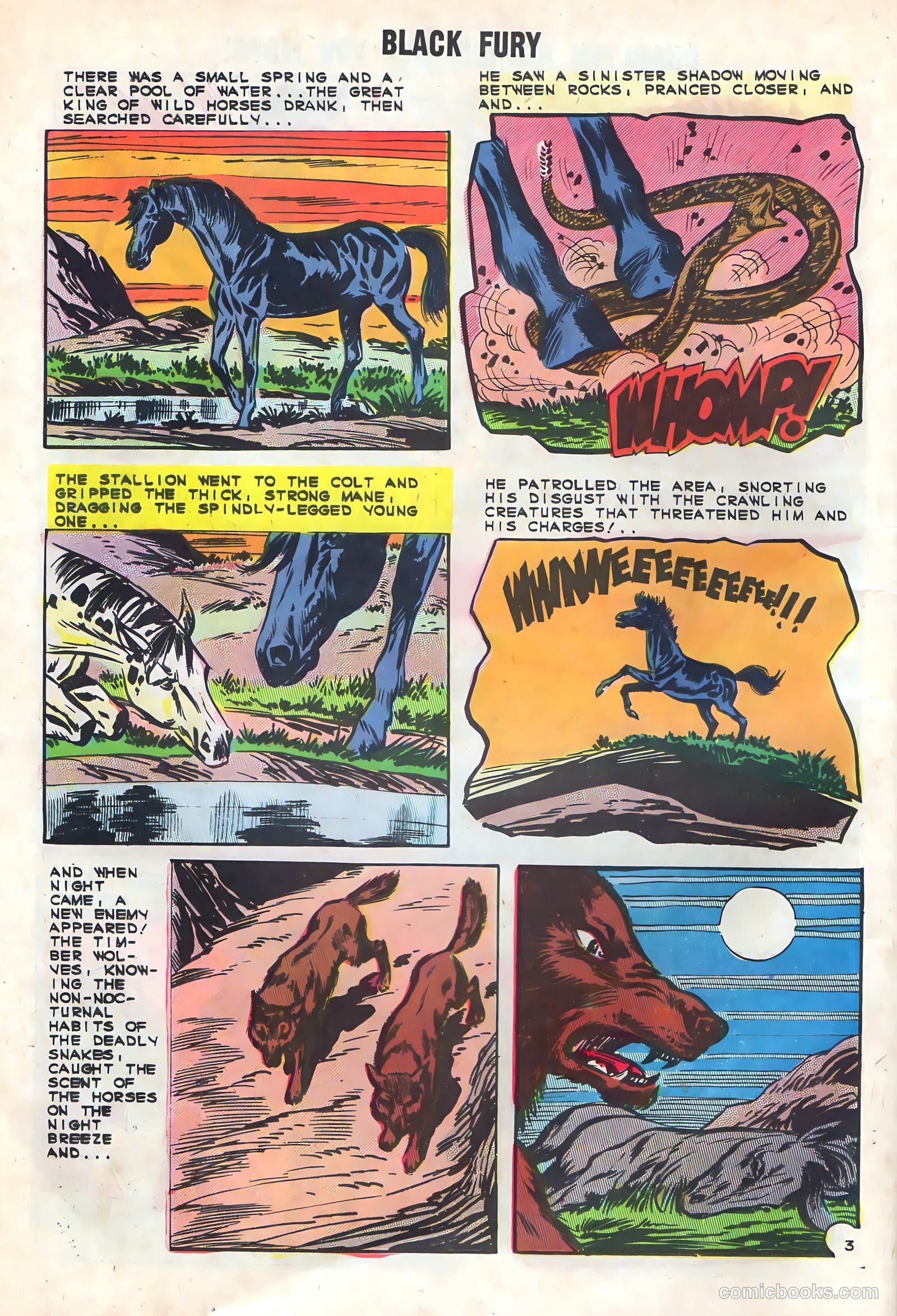 Black Fury #48 — page 26 of 36