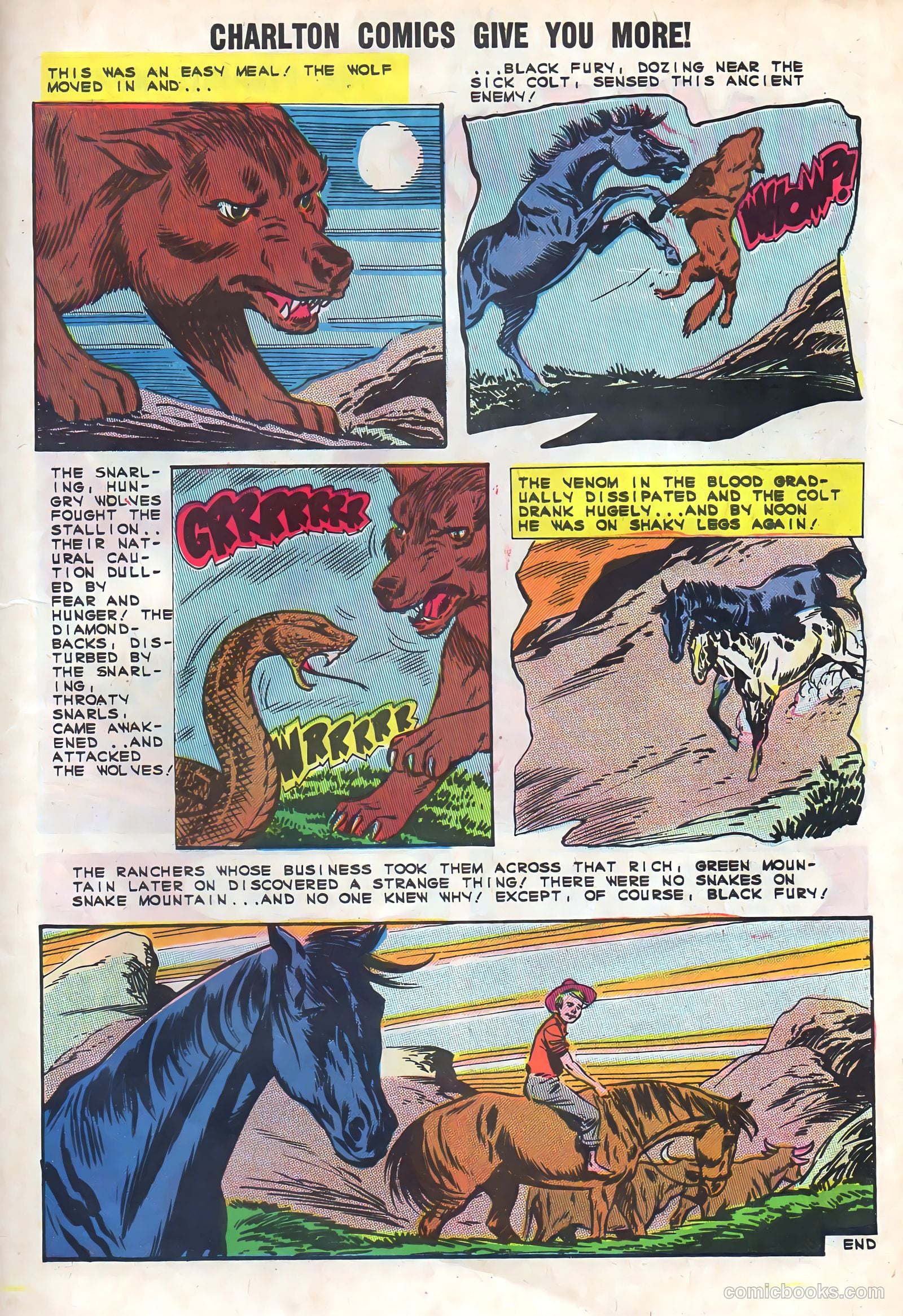 Black Fury #48 — page 27 of 36