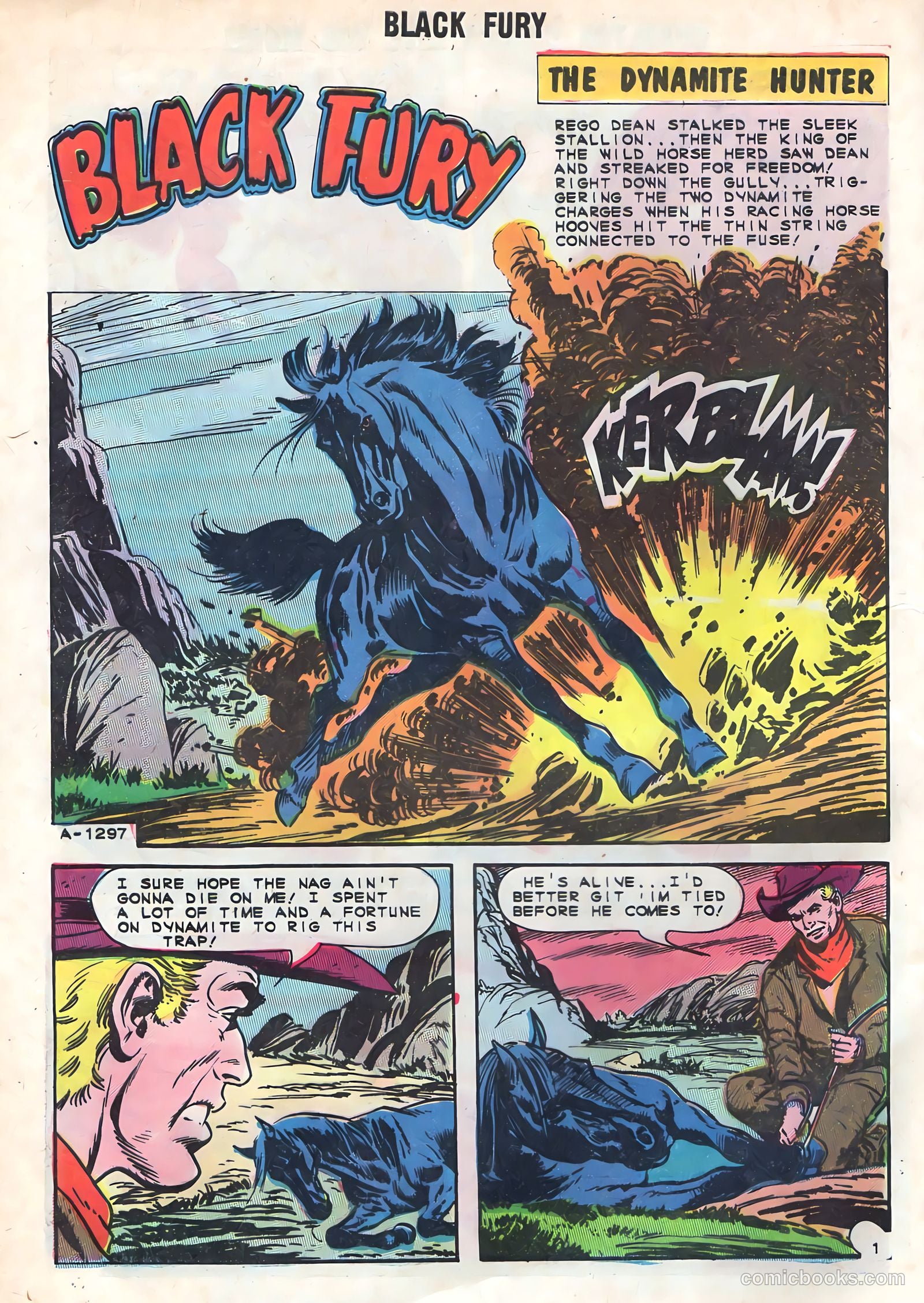 Black Fury #48 — page 28 of 36