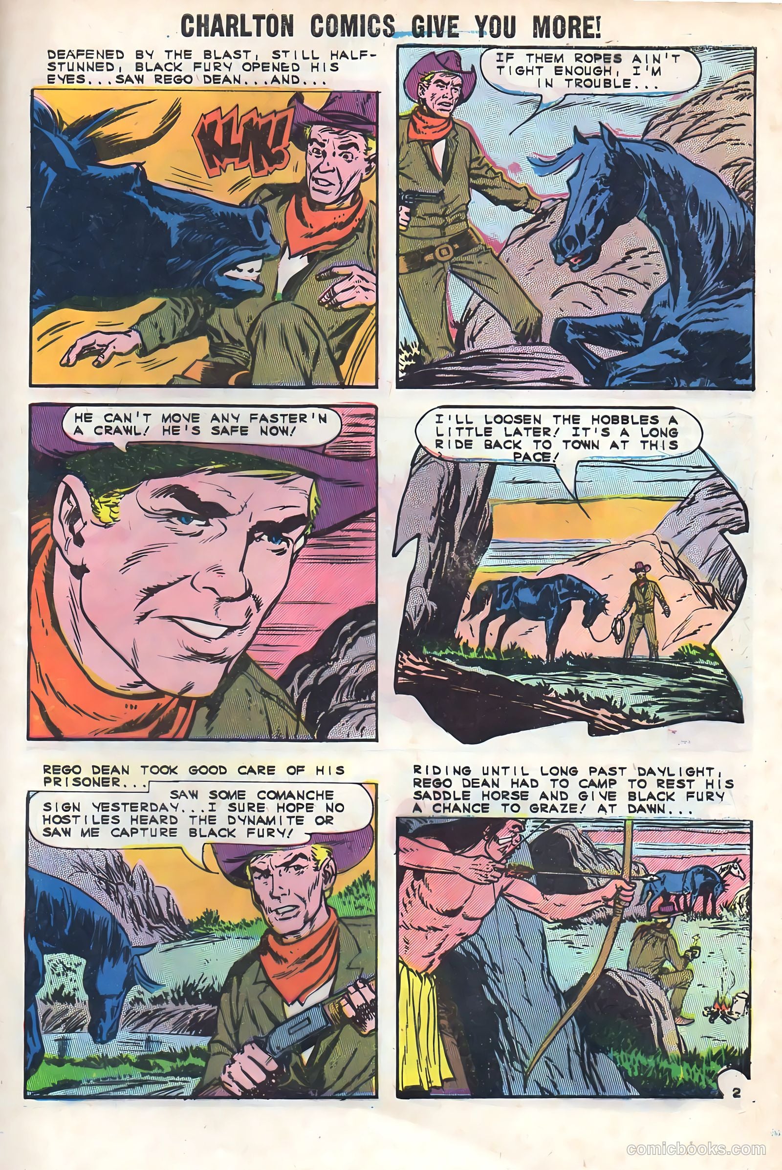 Black Fury #48 — page 29 of 36