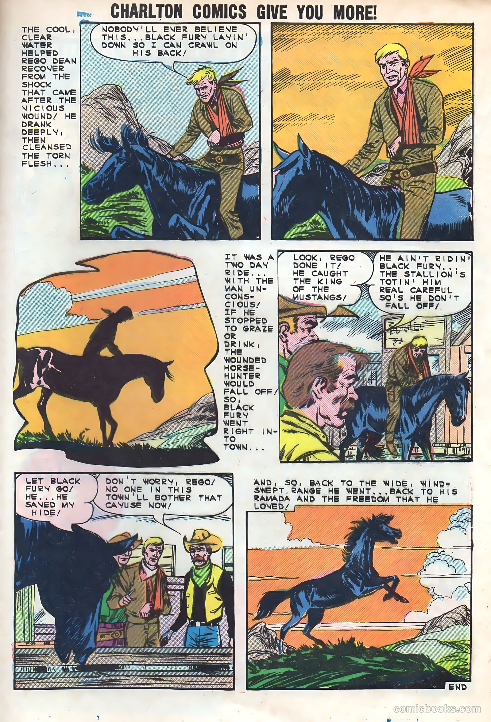 Black Fury #48 — page 33 of 36