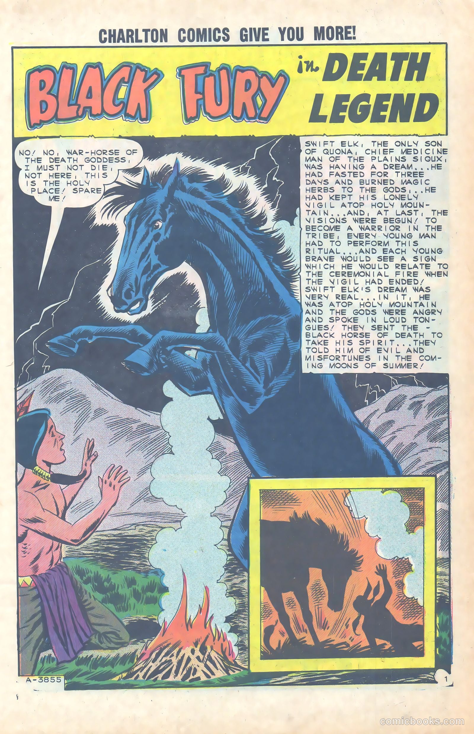 Black Fury #49 — page 3 of 36
