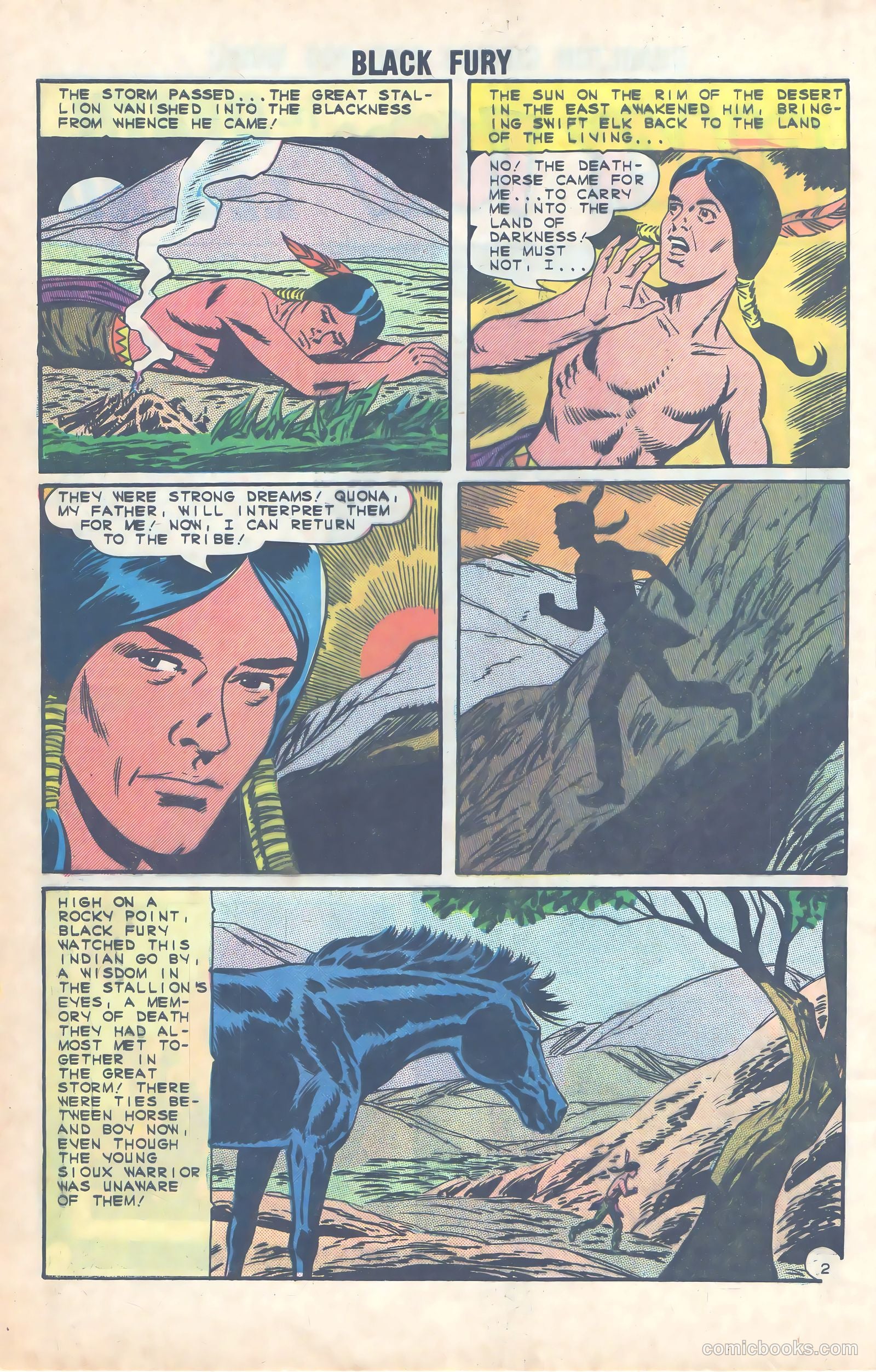 Black Fury #49 — page 4 of 36