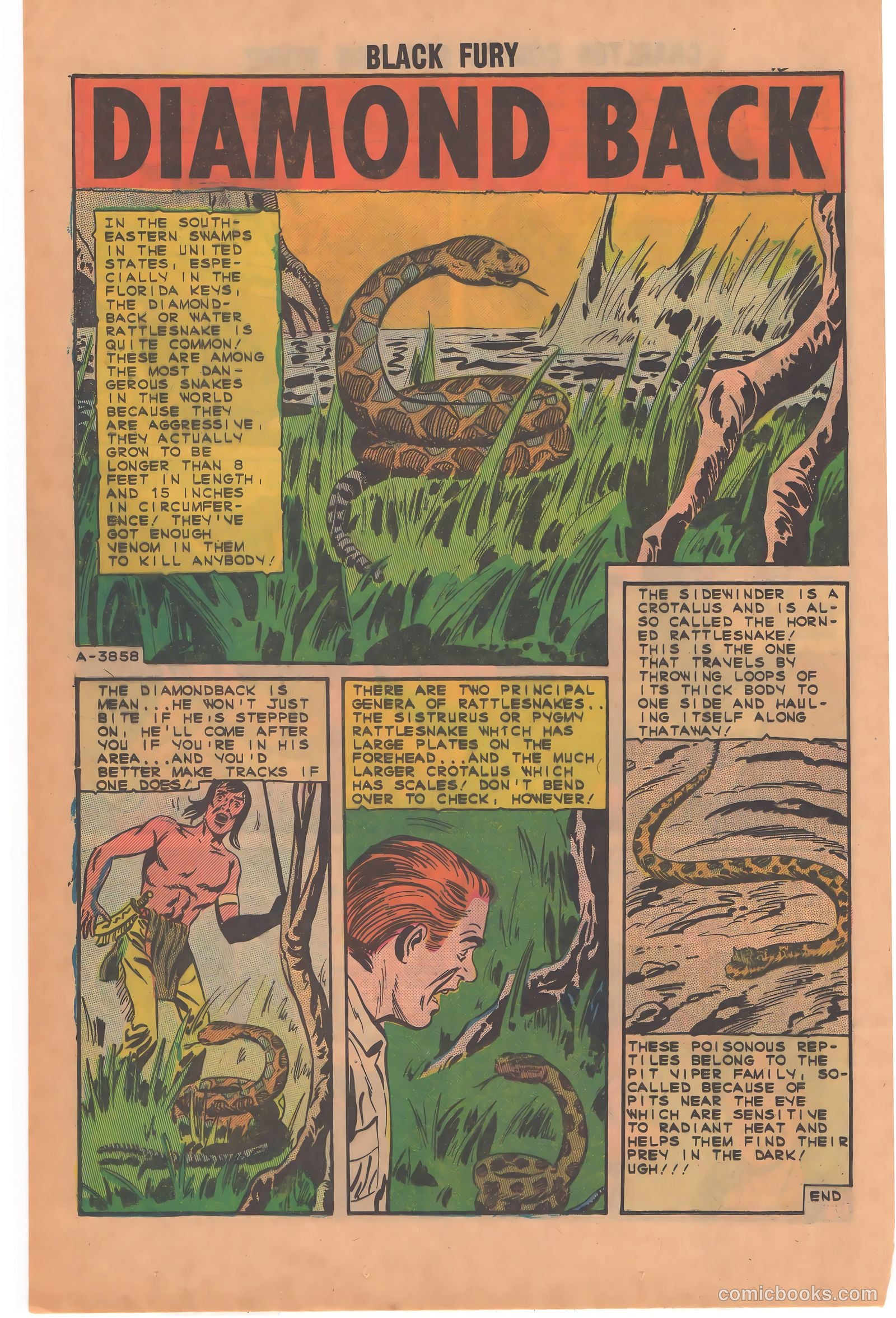 Black Fury #49 — page 12 of 36