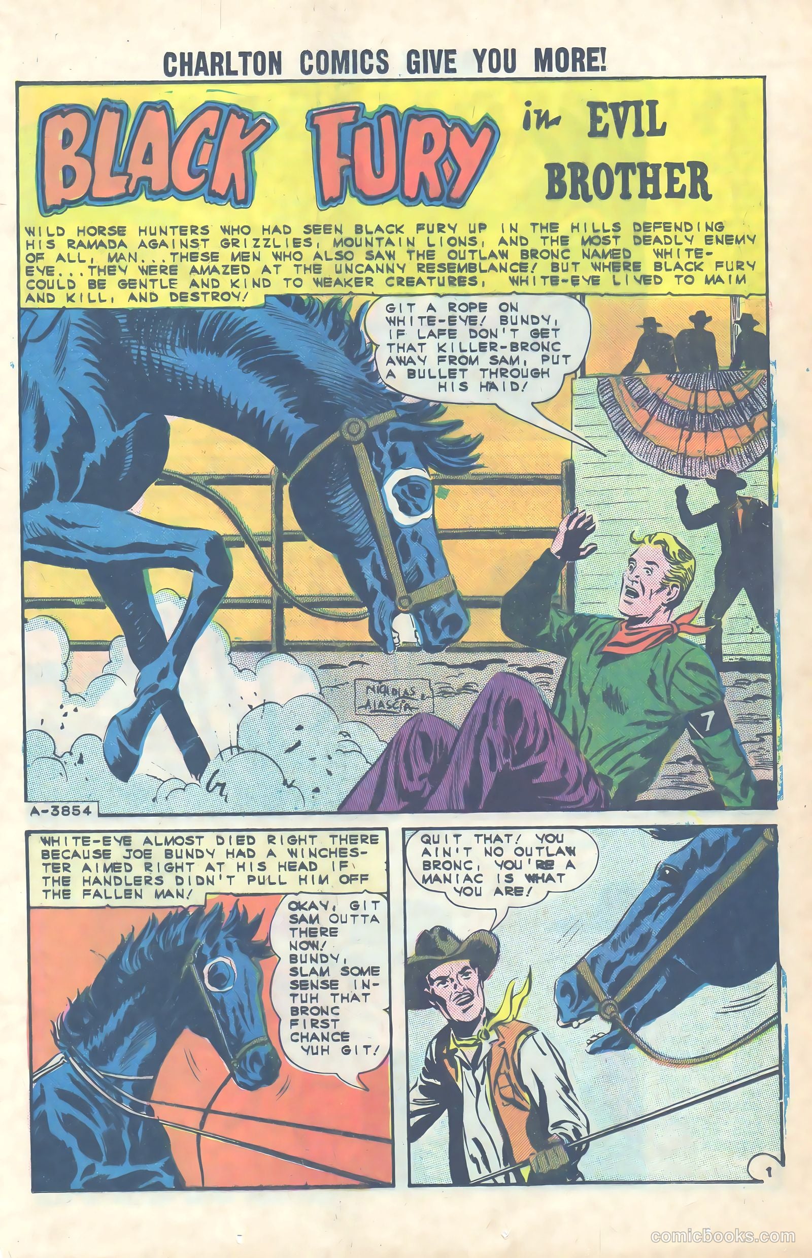 Black Fury #49 — page 13 of 36