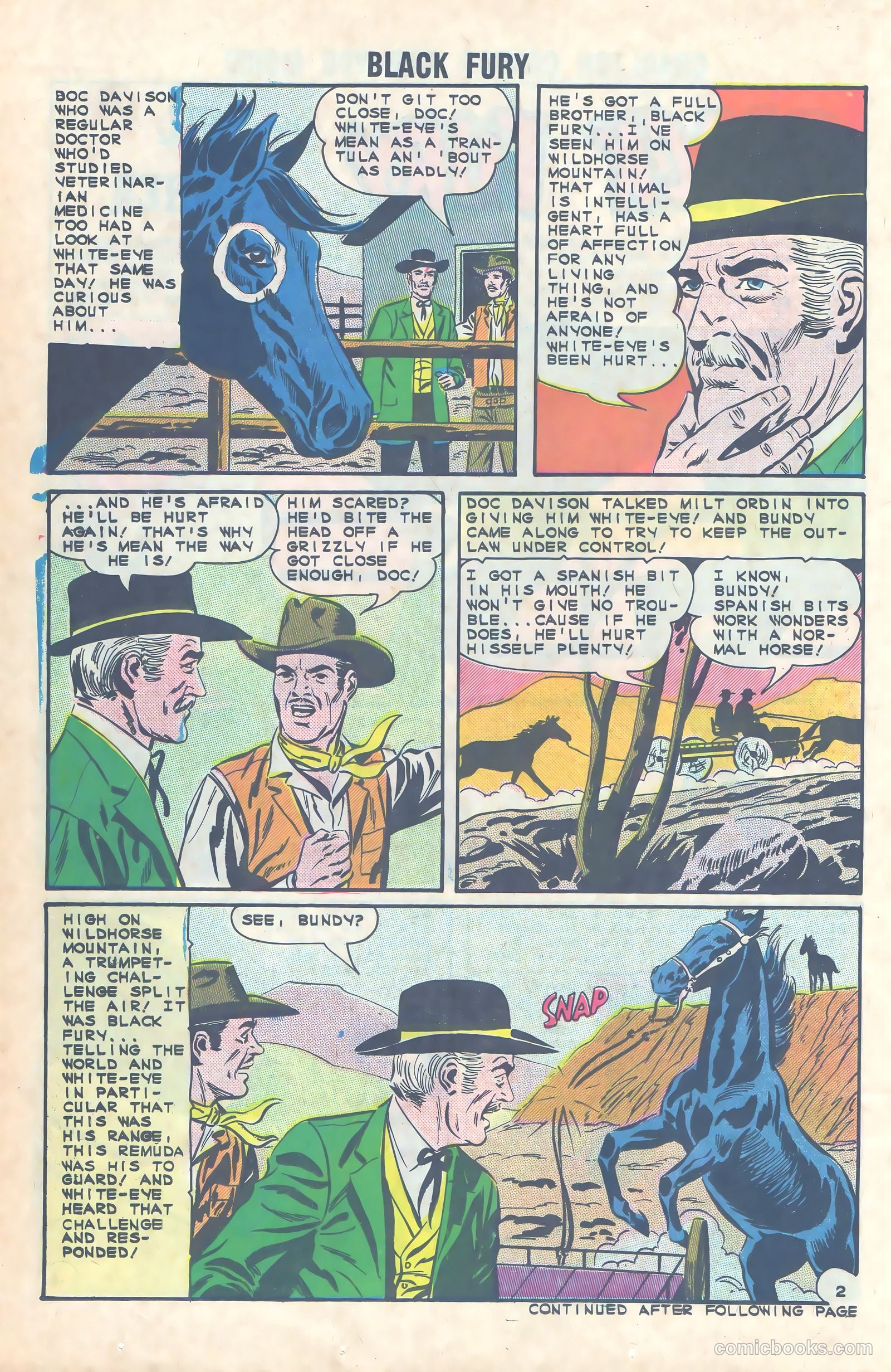 Black Fury #49 — page 14 of 36