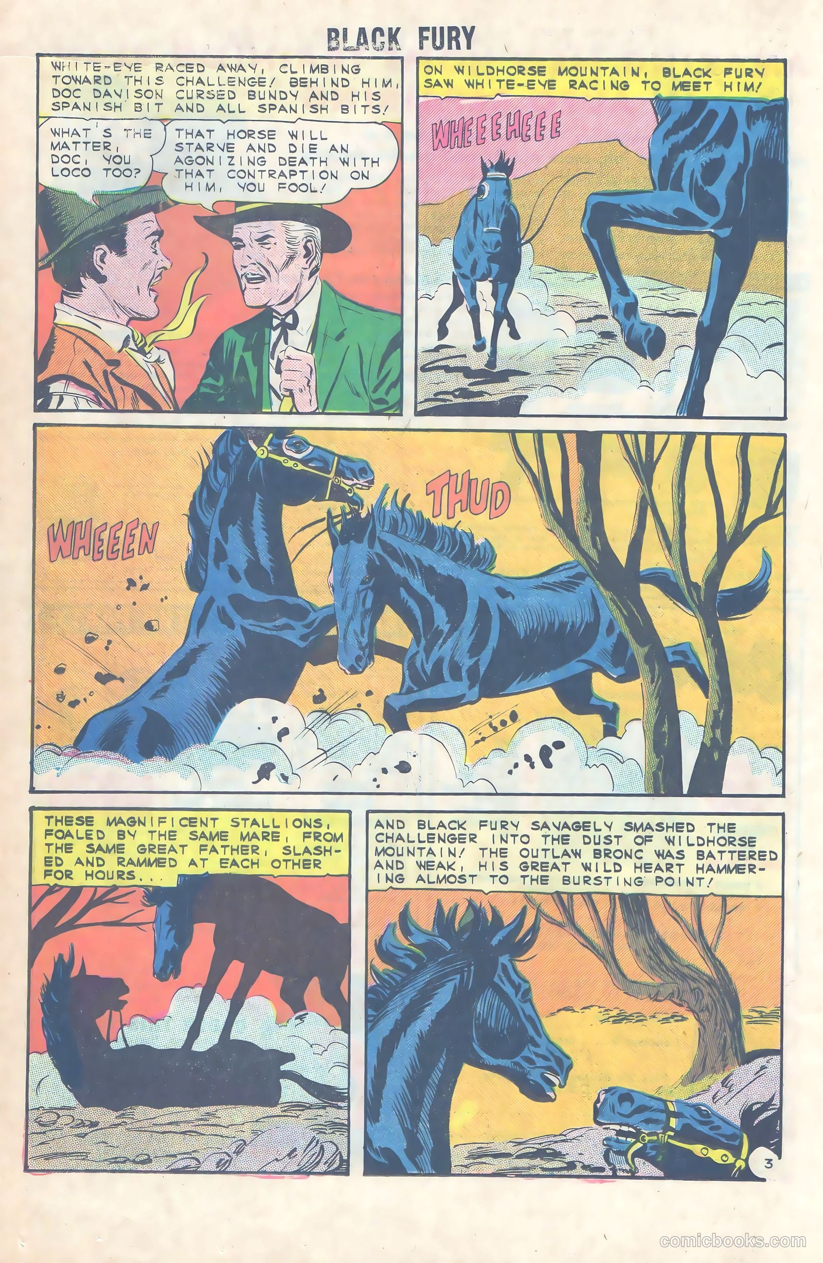 Black Fury #49 — page 16 of 36