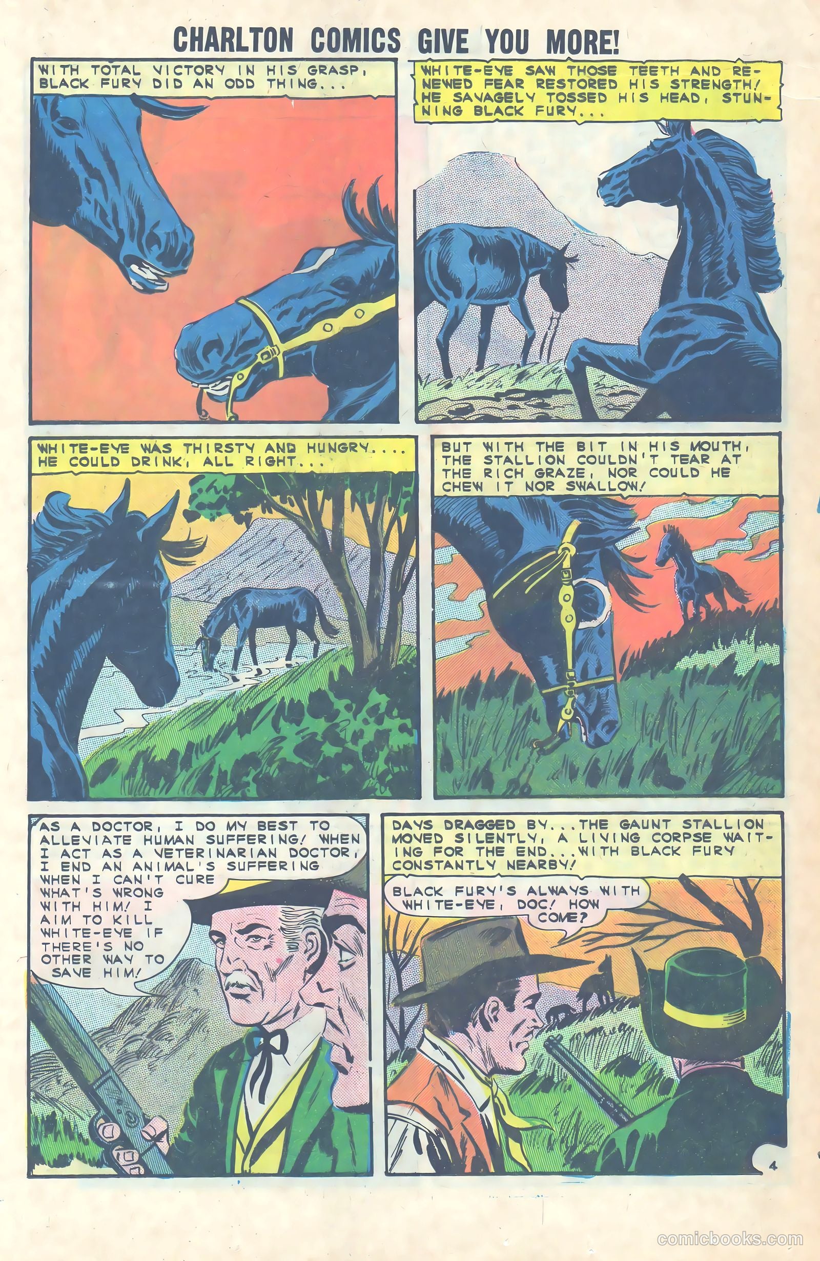 Black Fury #49 — page 17 of 36