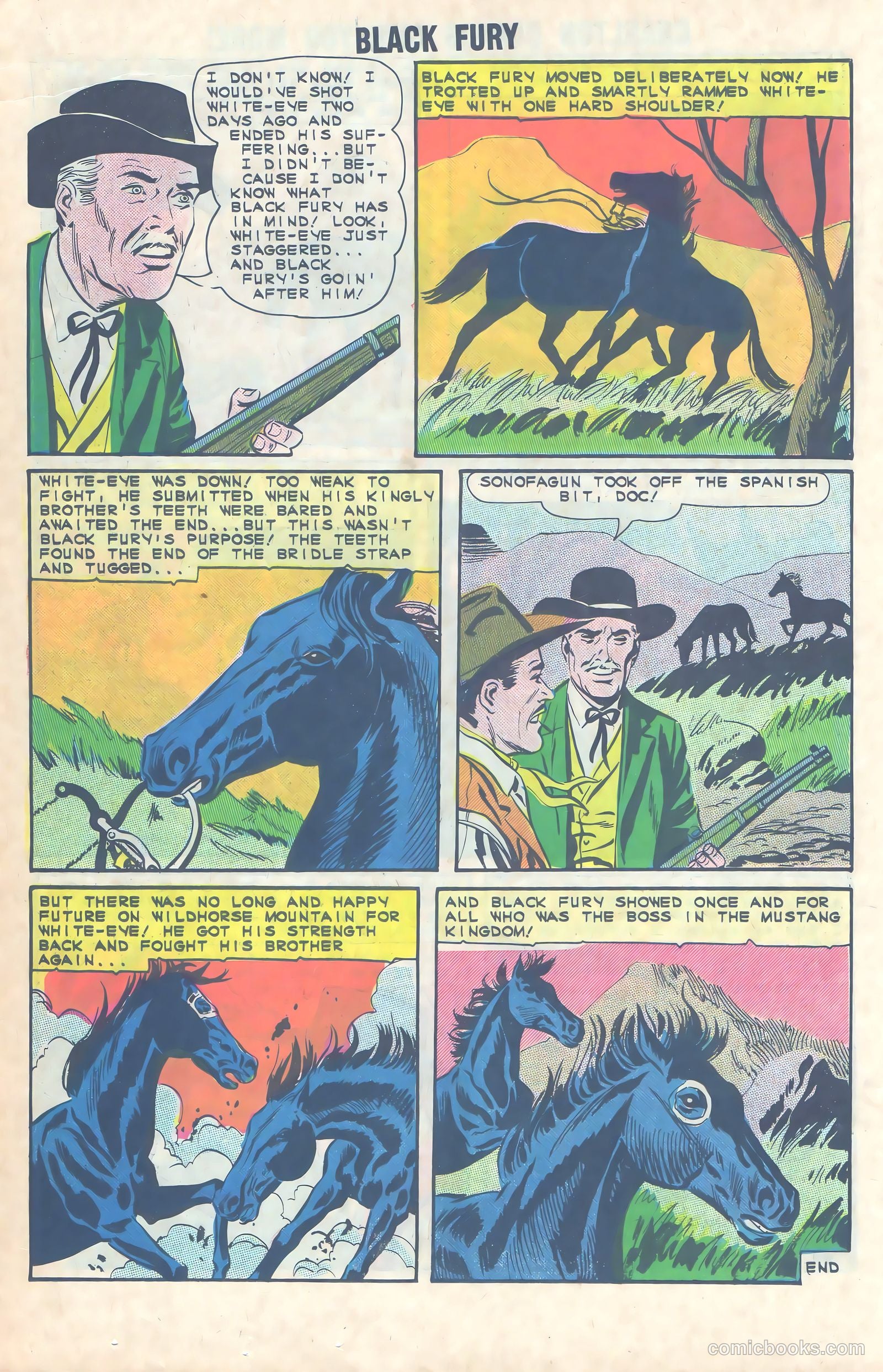 Black Fury #49 — page 18 of 36