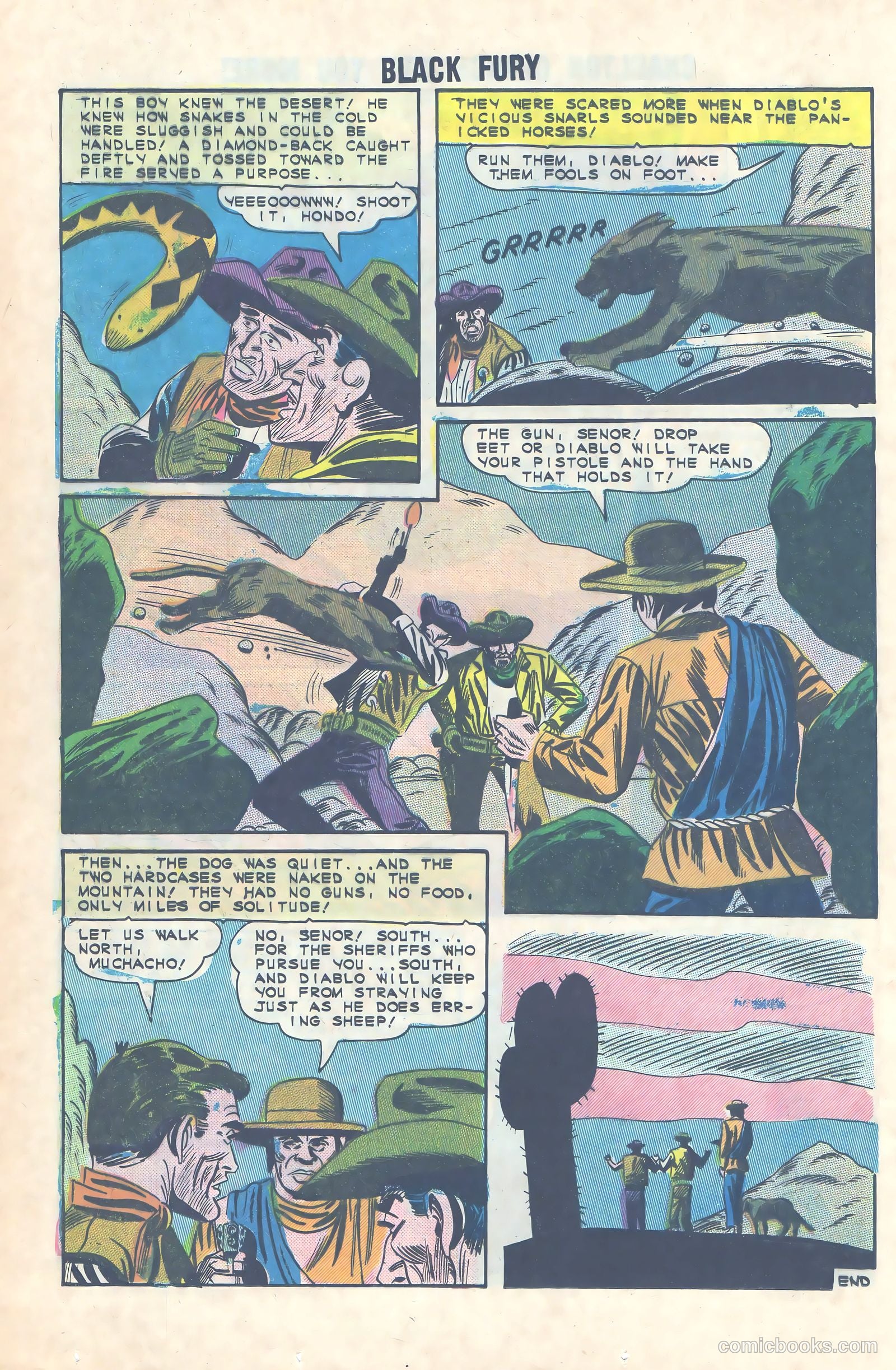 Black Fury #49 — page 24 of 36