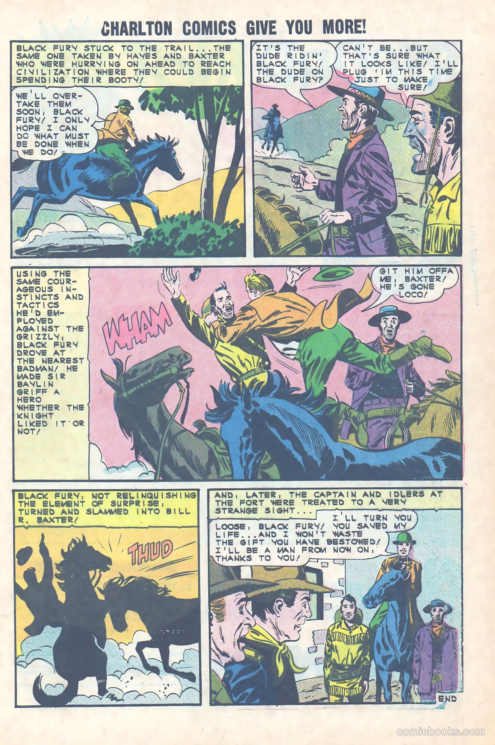 Black Fury #49 — page 33 of 36