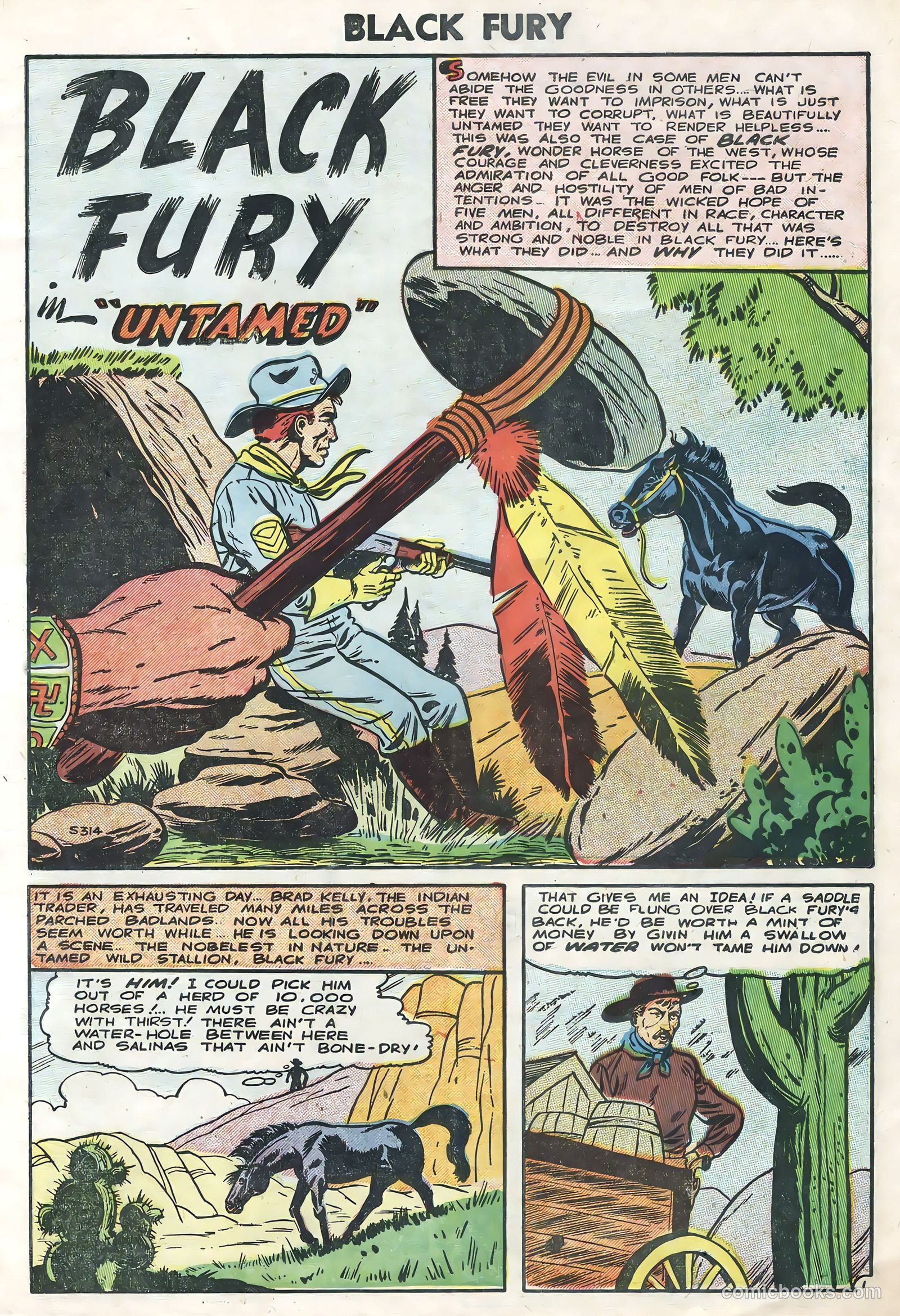 Black Fury #5 — page 3 of 36