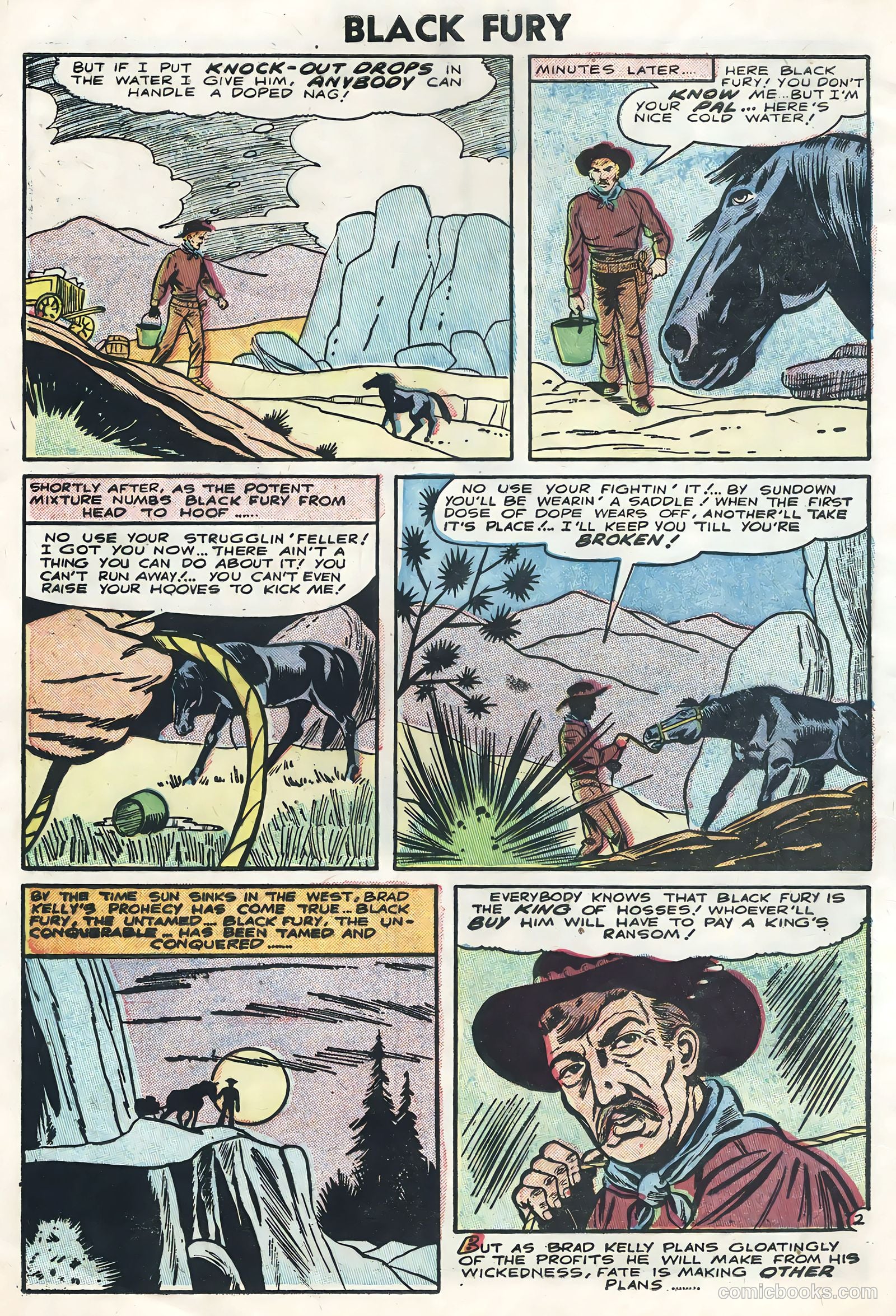 Black Fury #5 — page 4 of 36