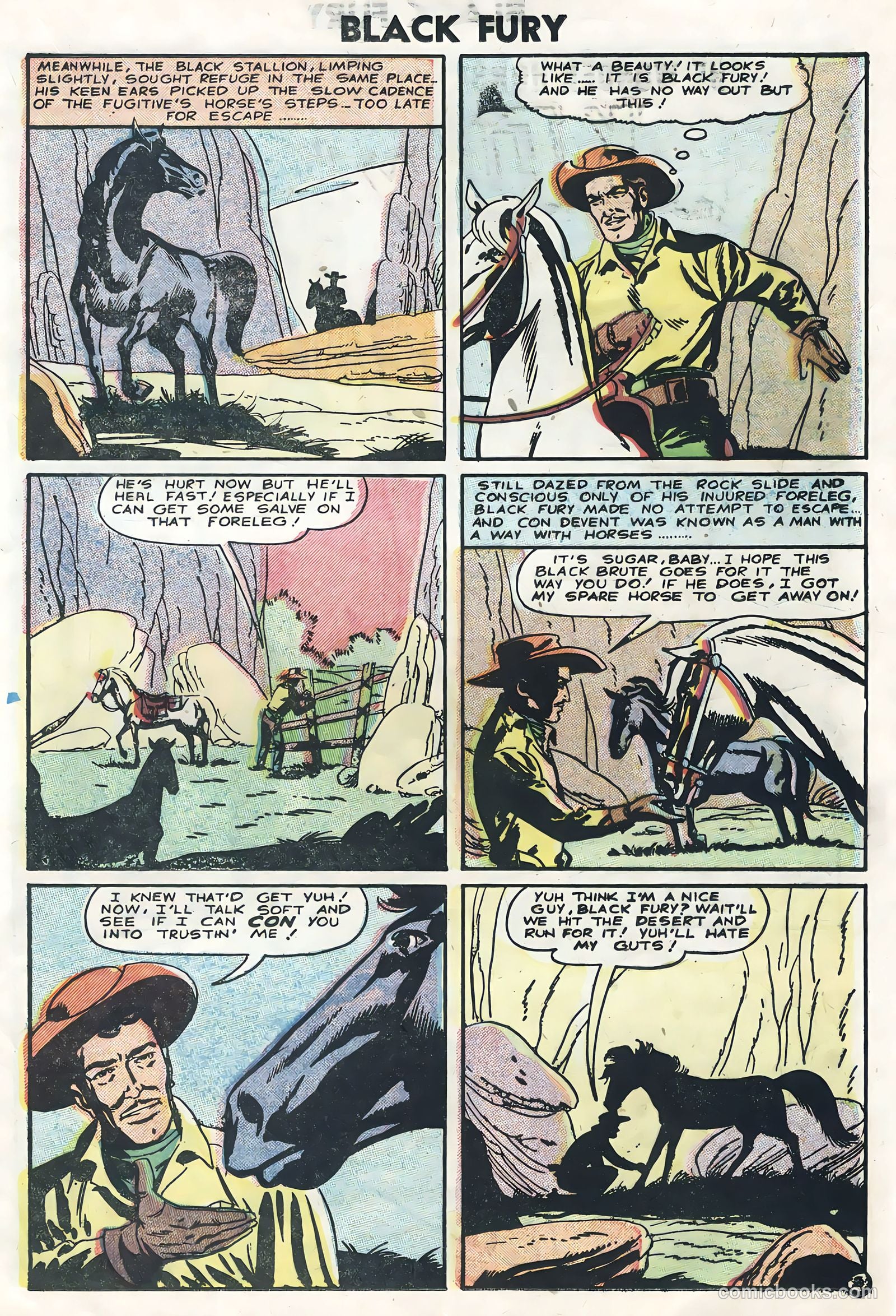 Black Fury #5 — page 13 of 36