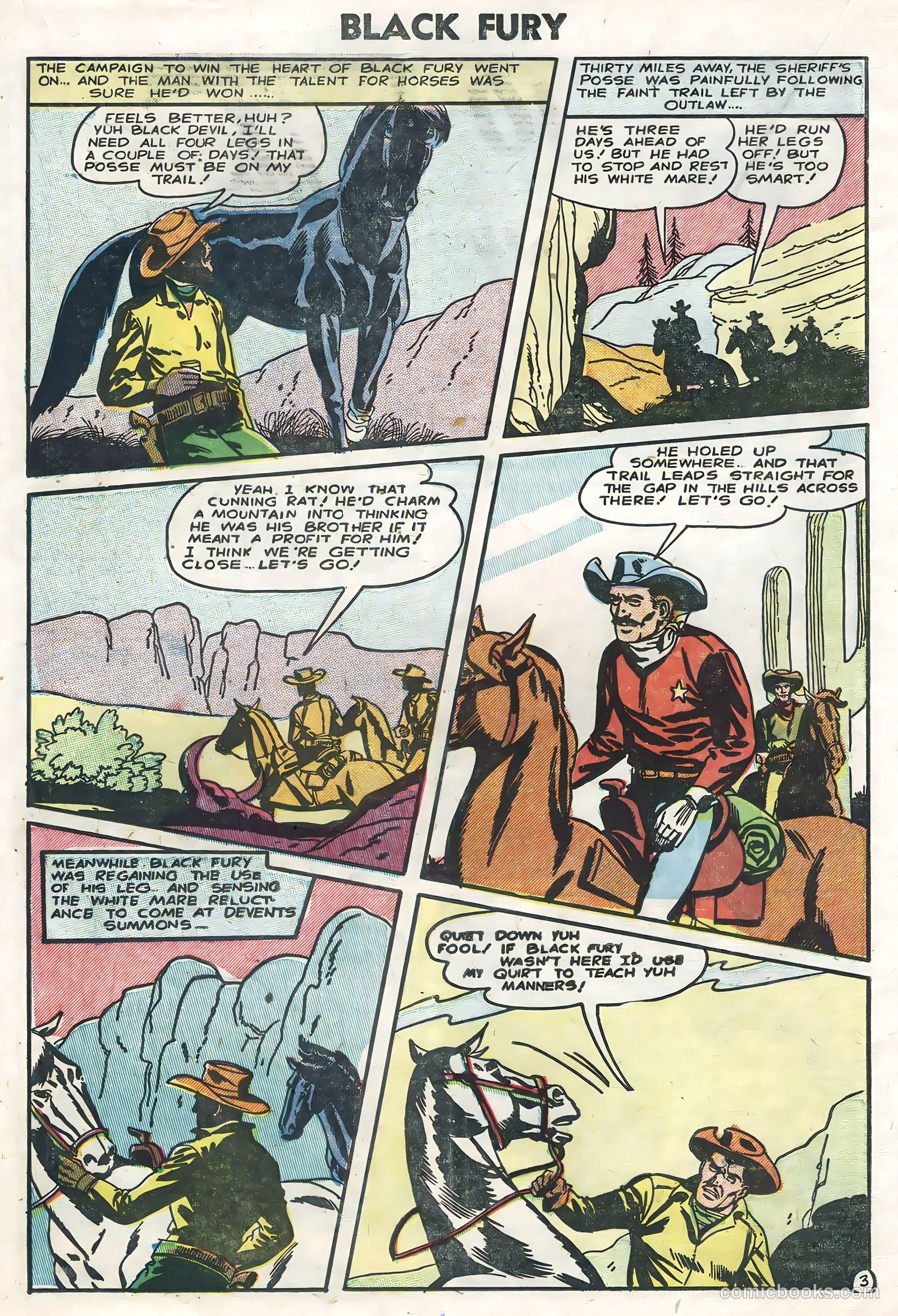 Black Fury #5 — page 14 of 36