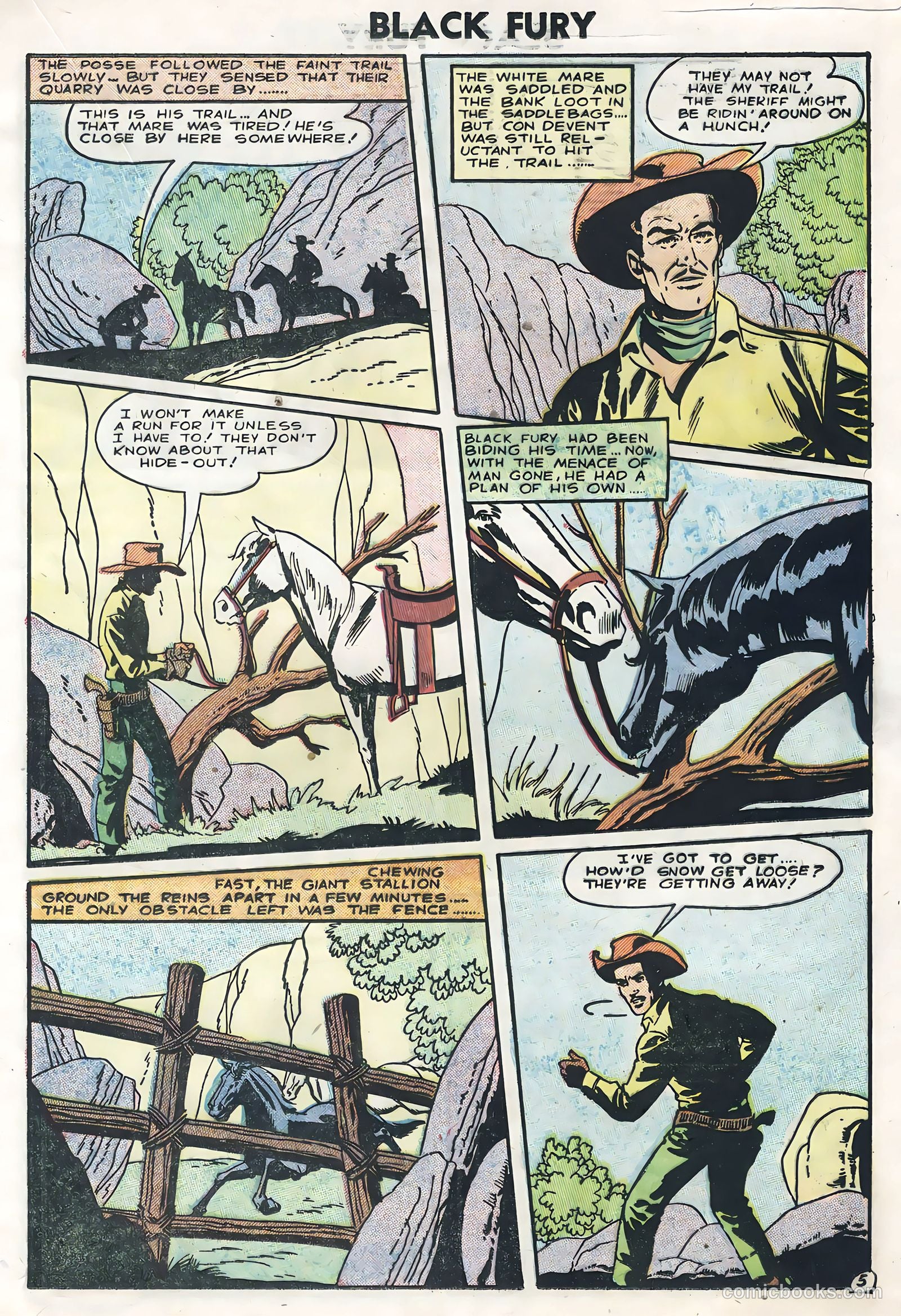 Black Fury #5 — page 17 of 36