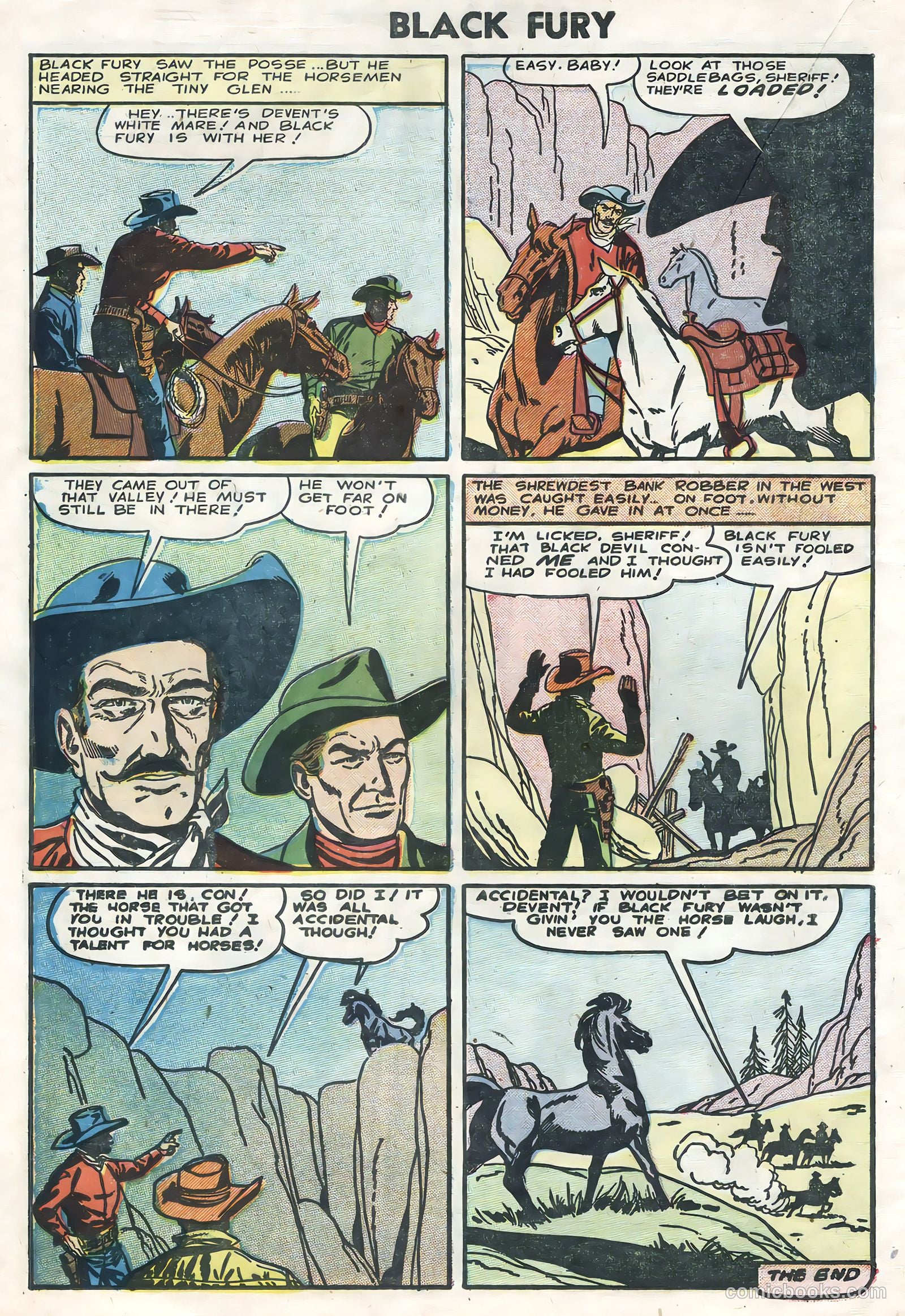 Black Fury #5 — page 18 of 36