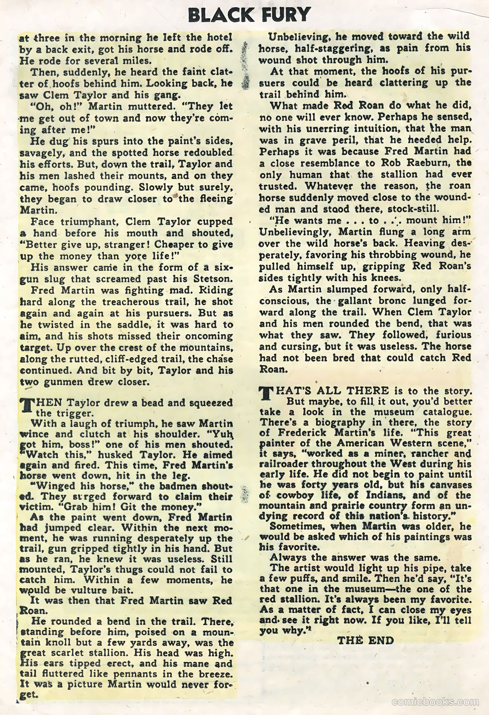 Black Fury #5 — page 21 of 36