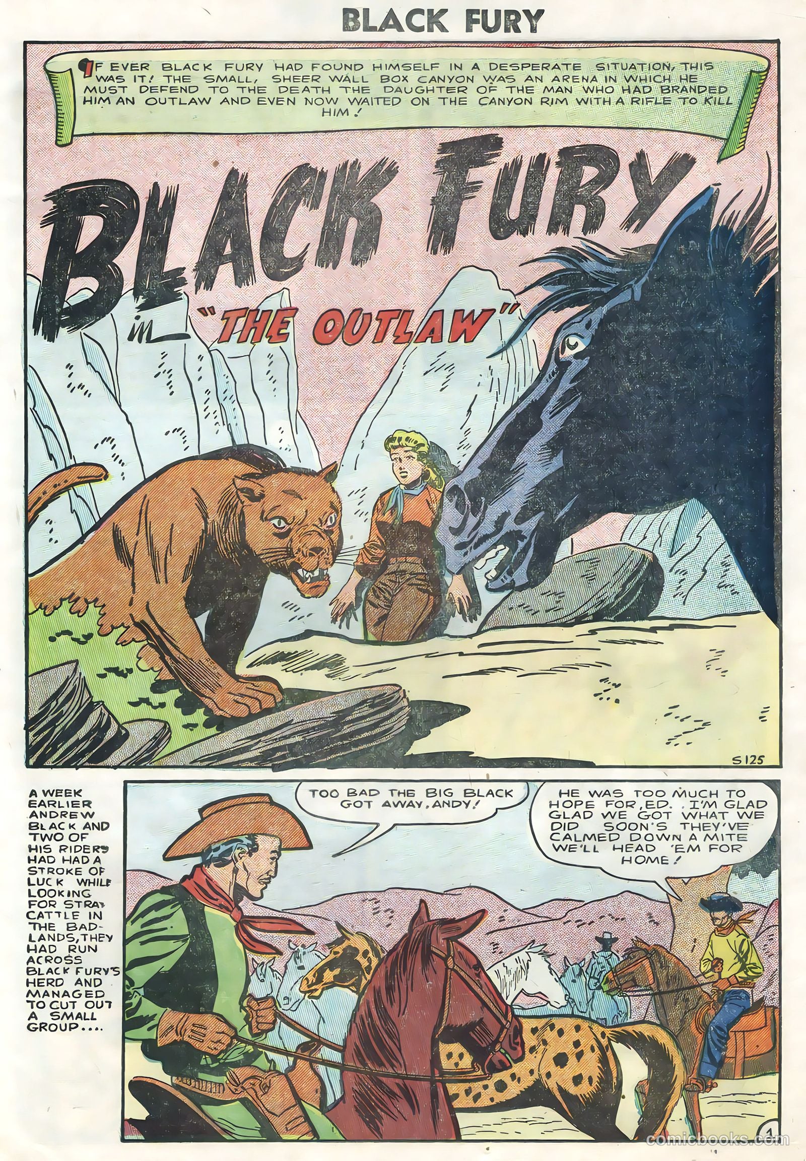 Black Fury #5 — page 23 of 36