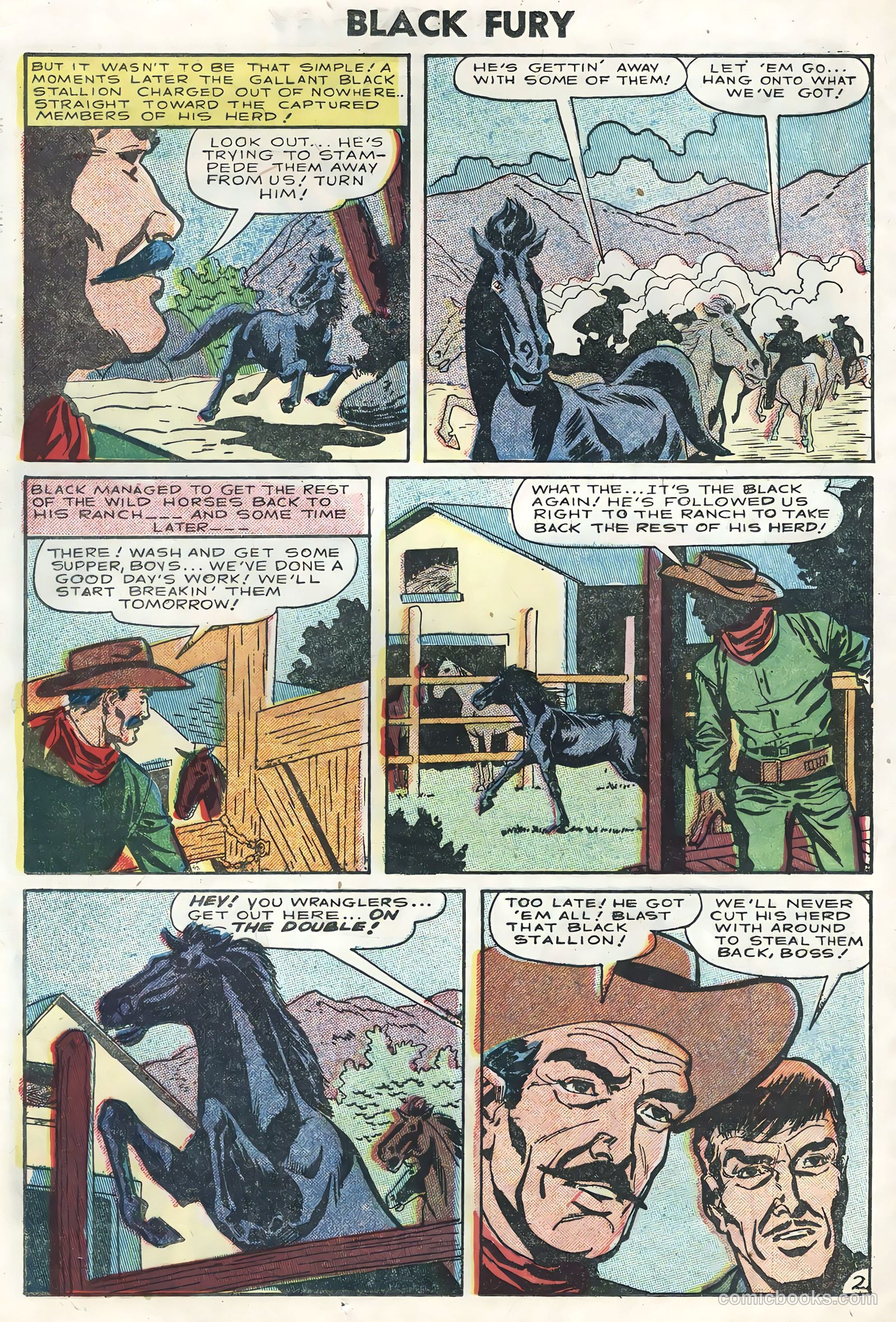 Black Fury #5 — page 24 of 36