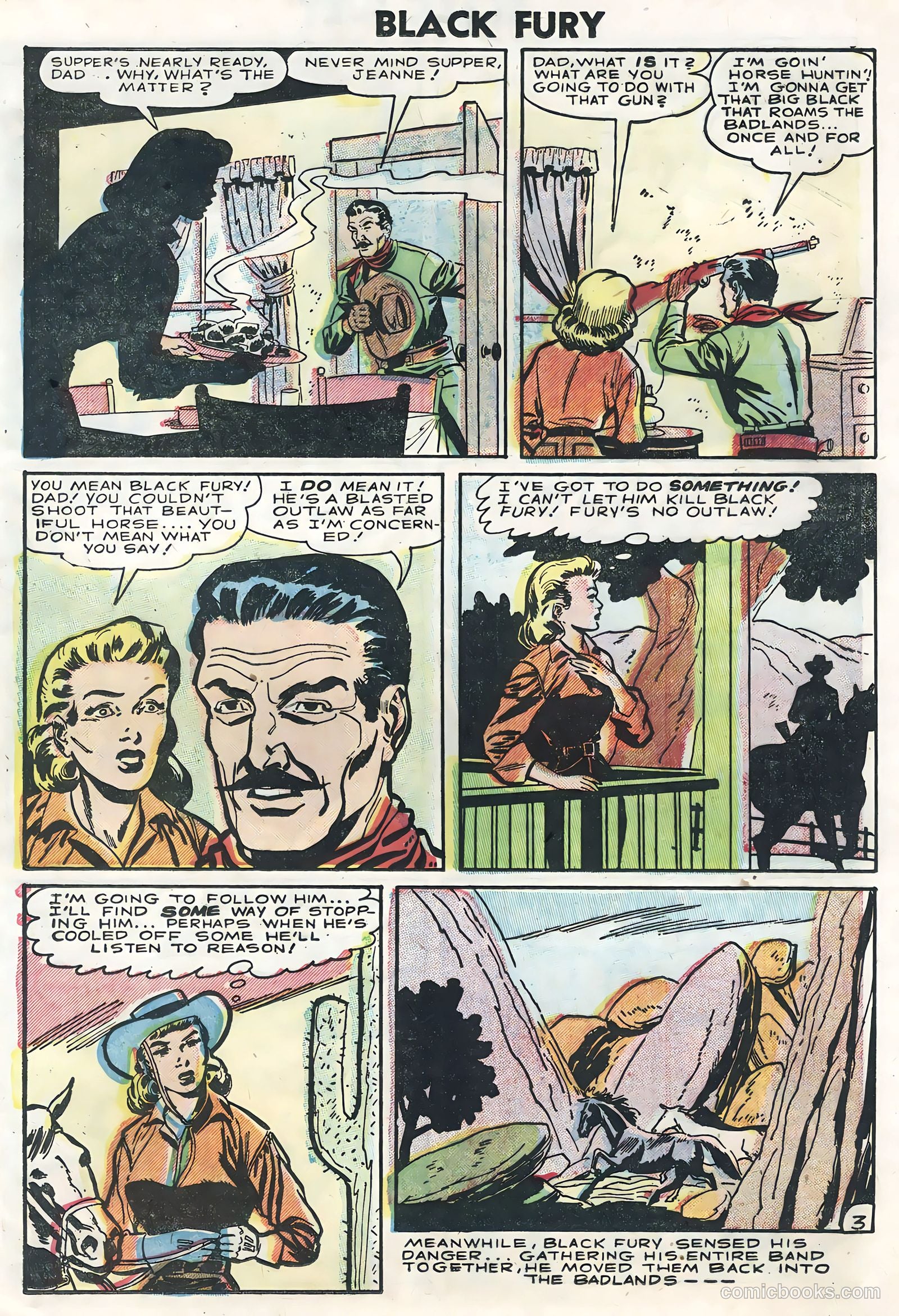 Black Fury #5 — page 25 of 36