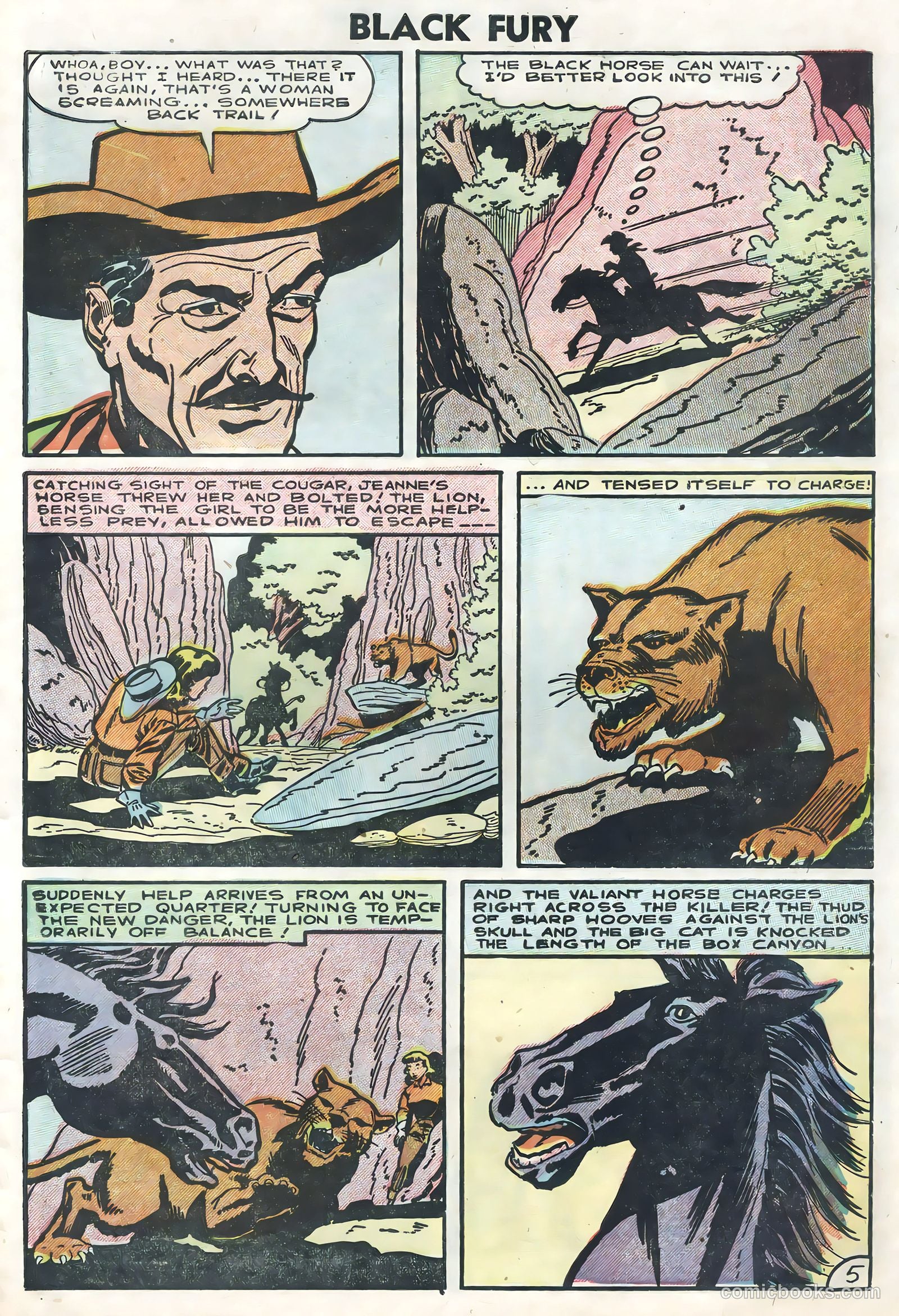Black Fury #5 — page 27 of 36