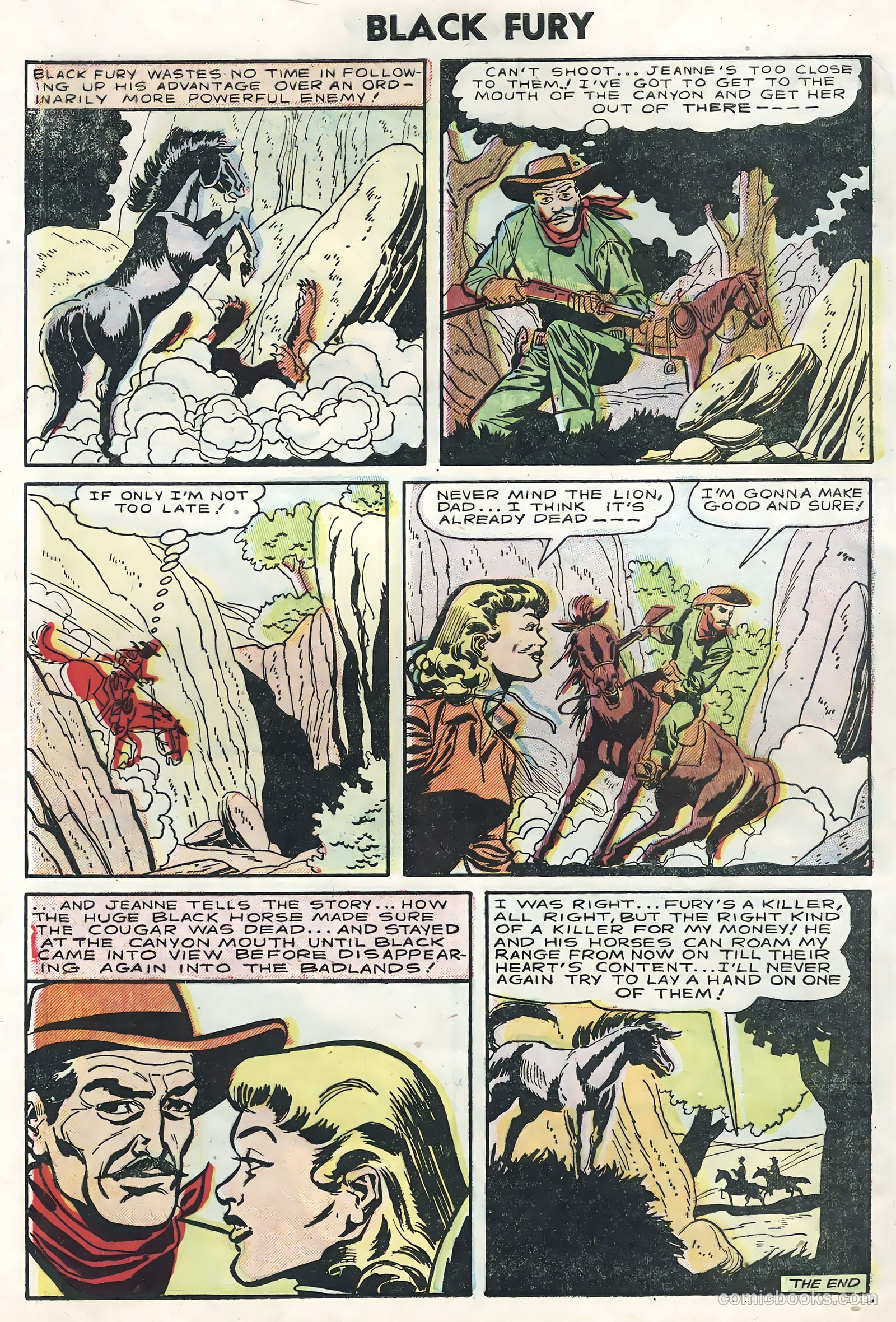 Black Fury #5 — page 28 of 36