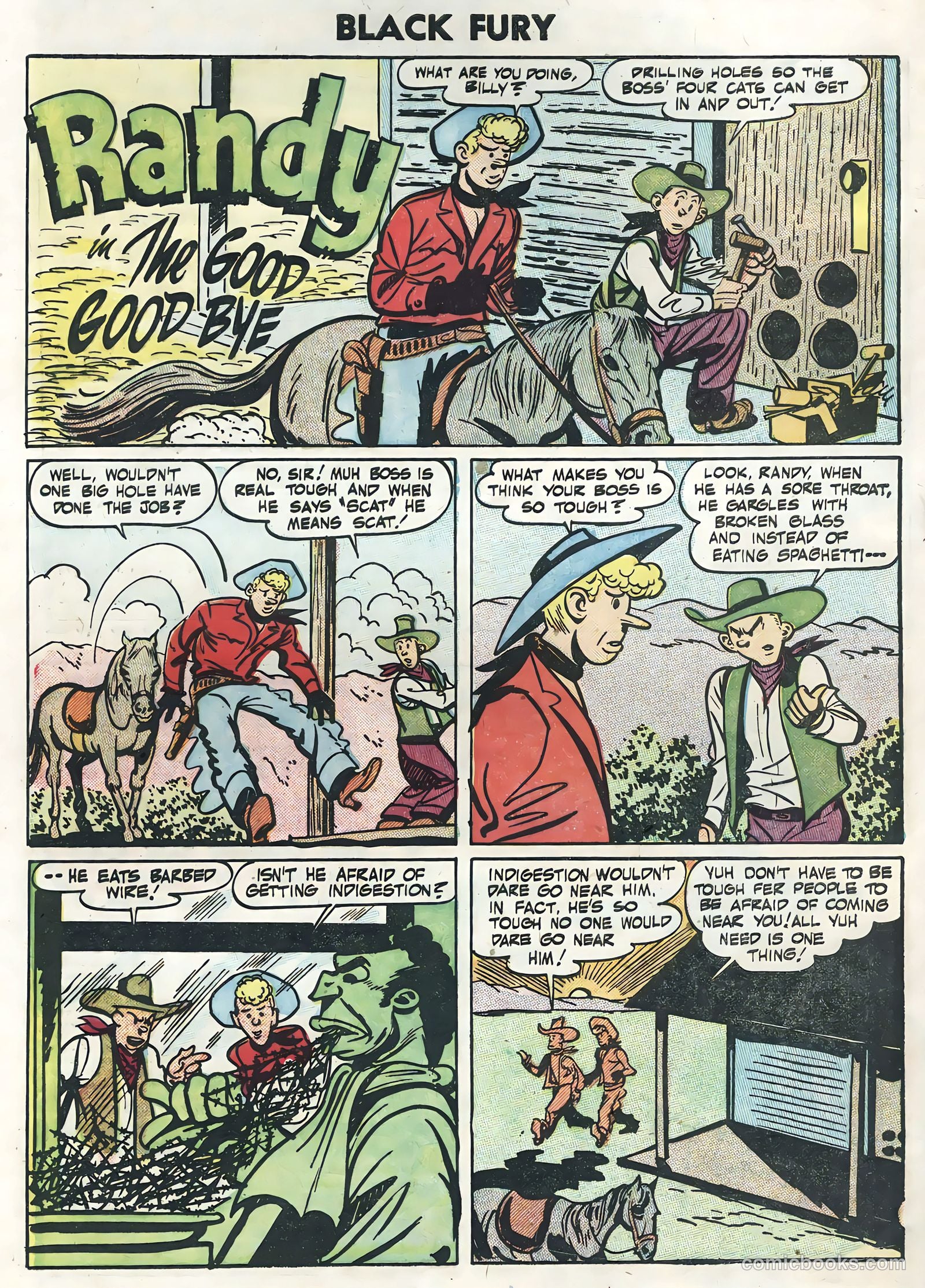 Black Fury #5 — page 32 of 36