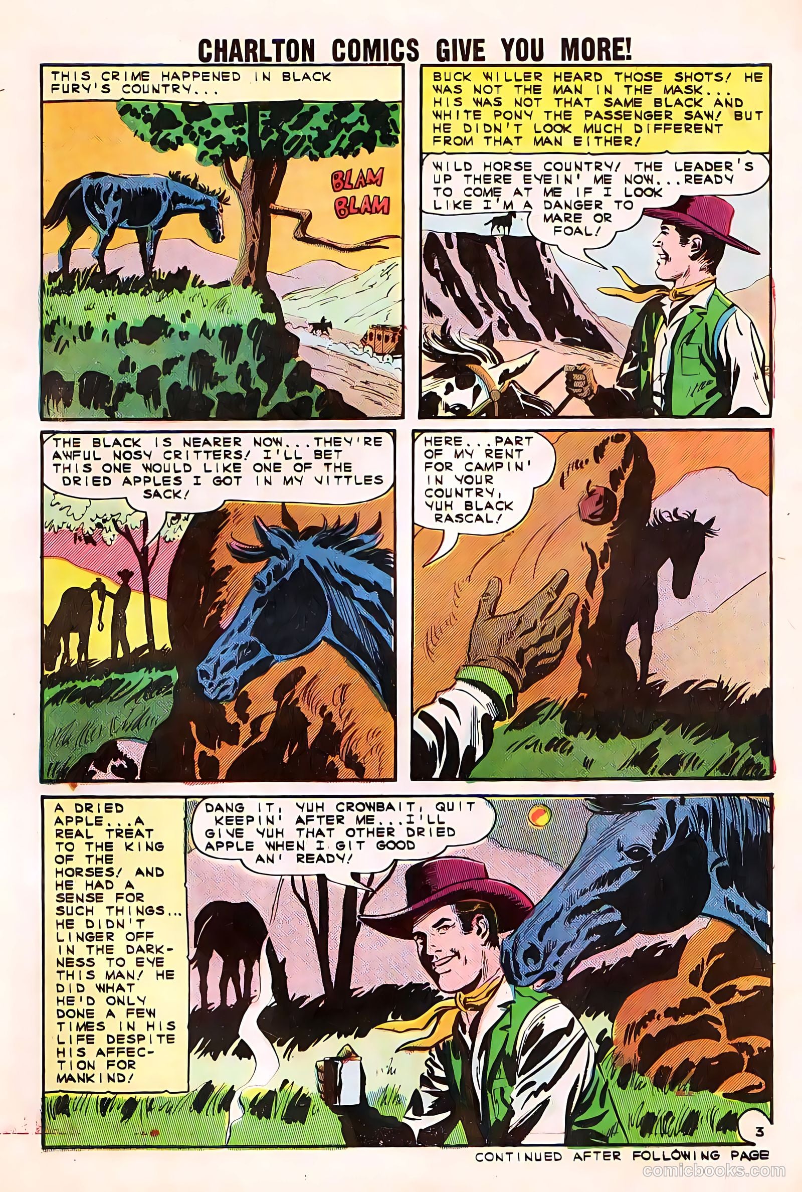 Black Fury #50 — page 5 of 36