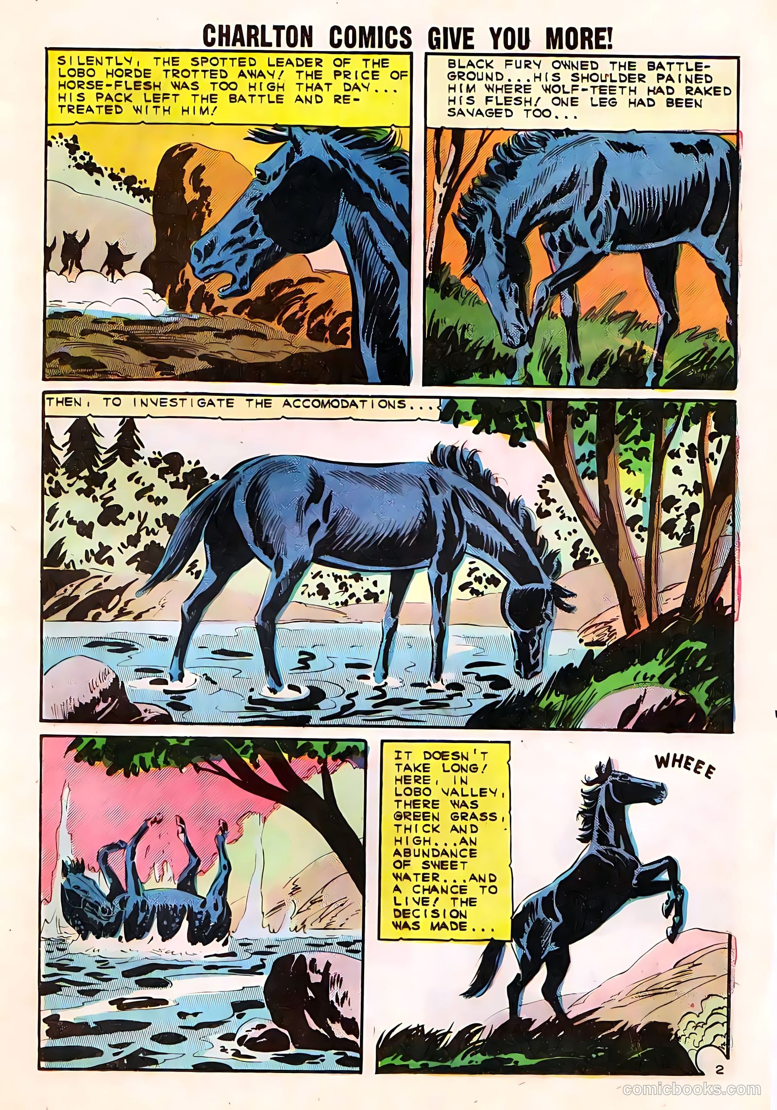 Black Fury #50 — page 13 of 36
