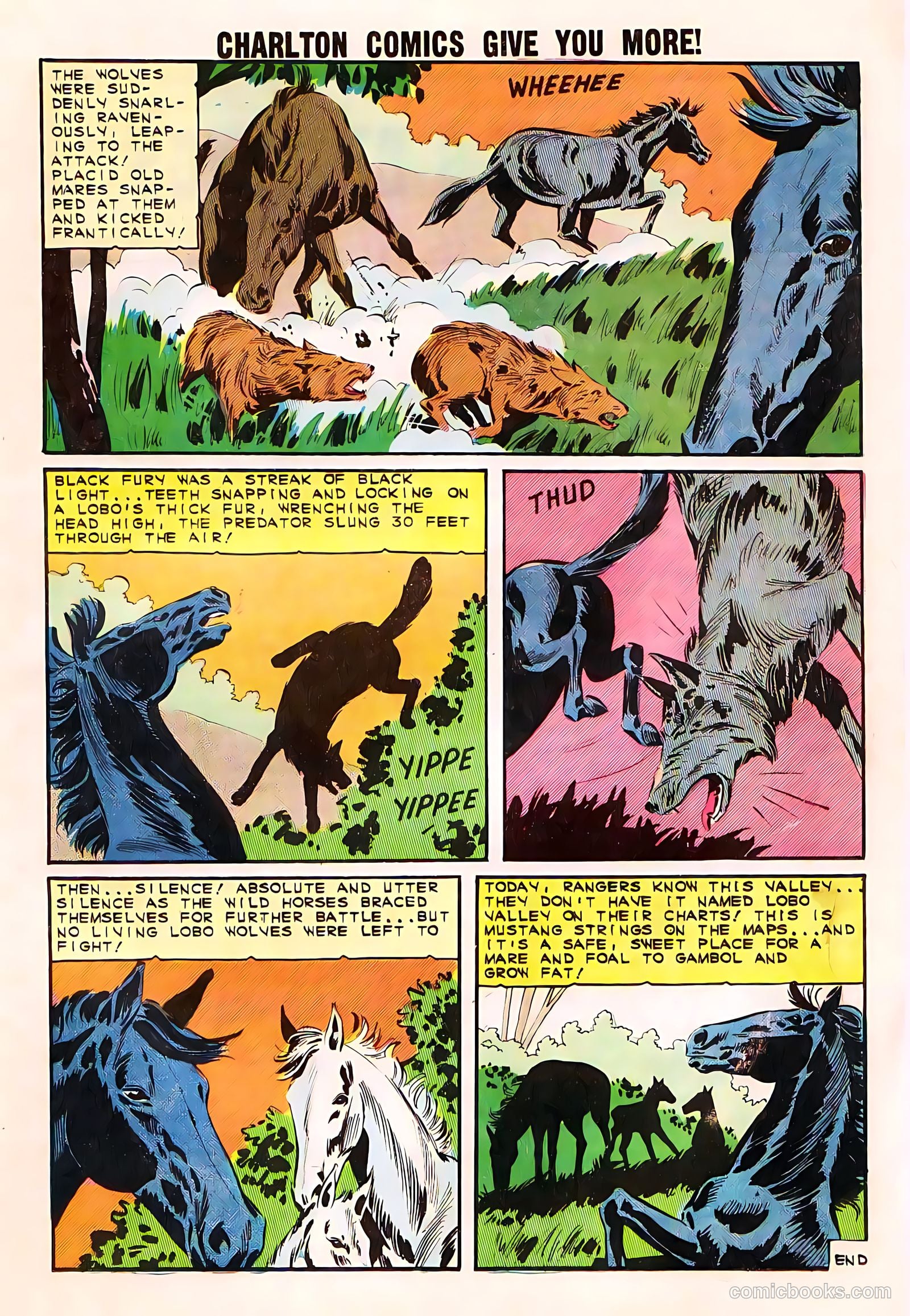 Black Fury #50 — page 17 of 36