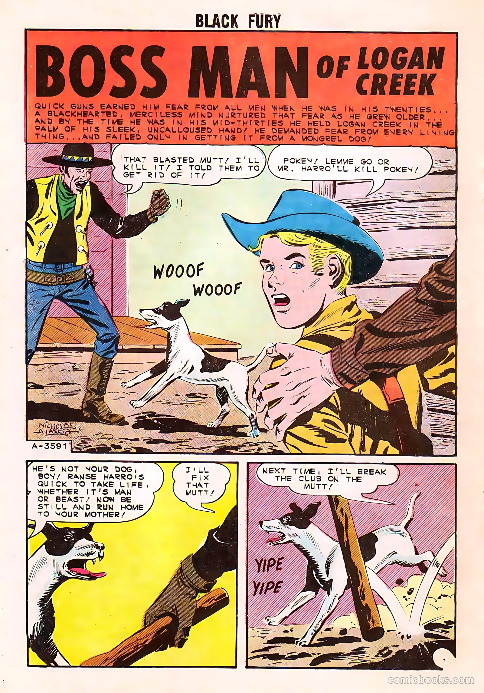 Black Fury #50 — page 20 of 36