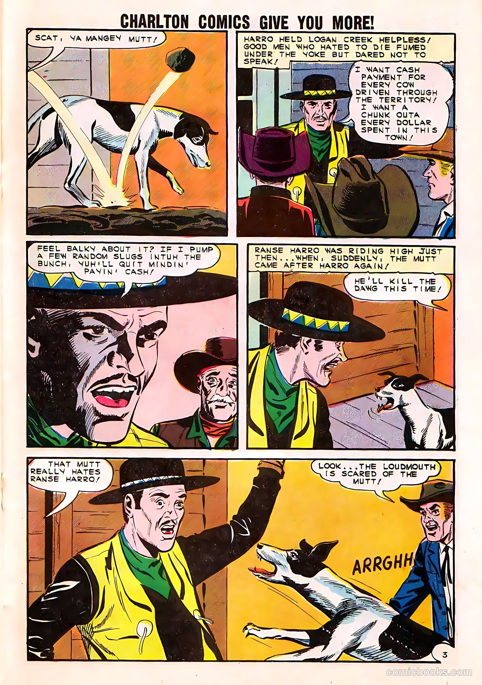 Black Fury #50 — page 23 of 36