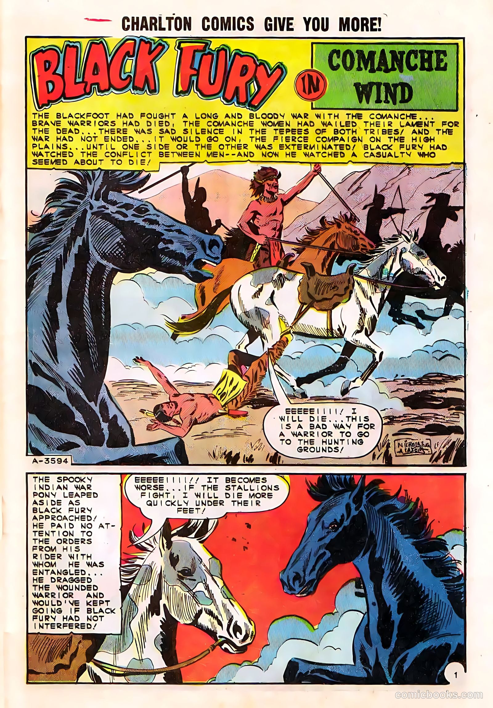 Black Fury #50 — page 25 of 36