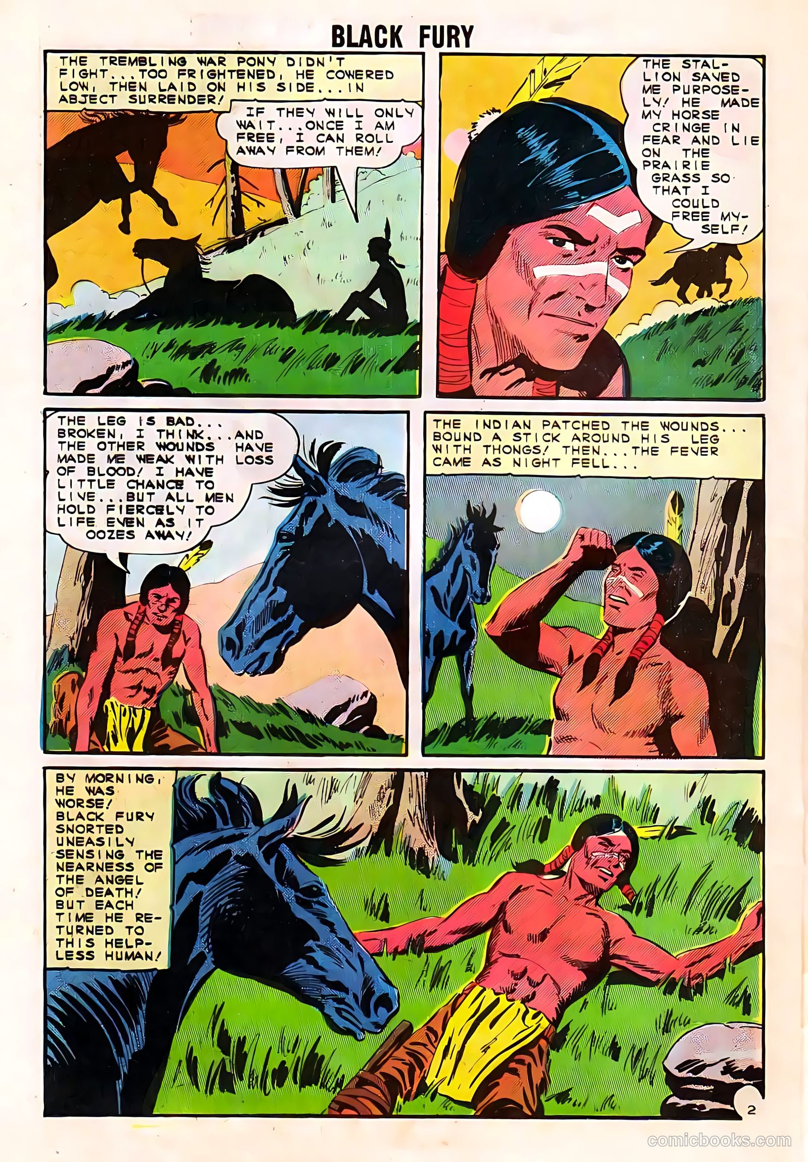 Black Fury #50 — page 26 of 36