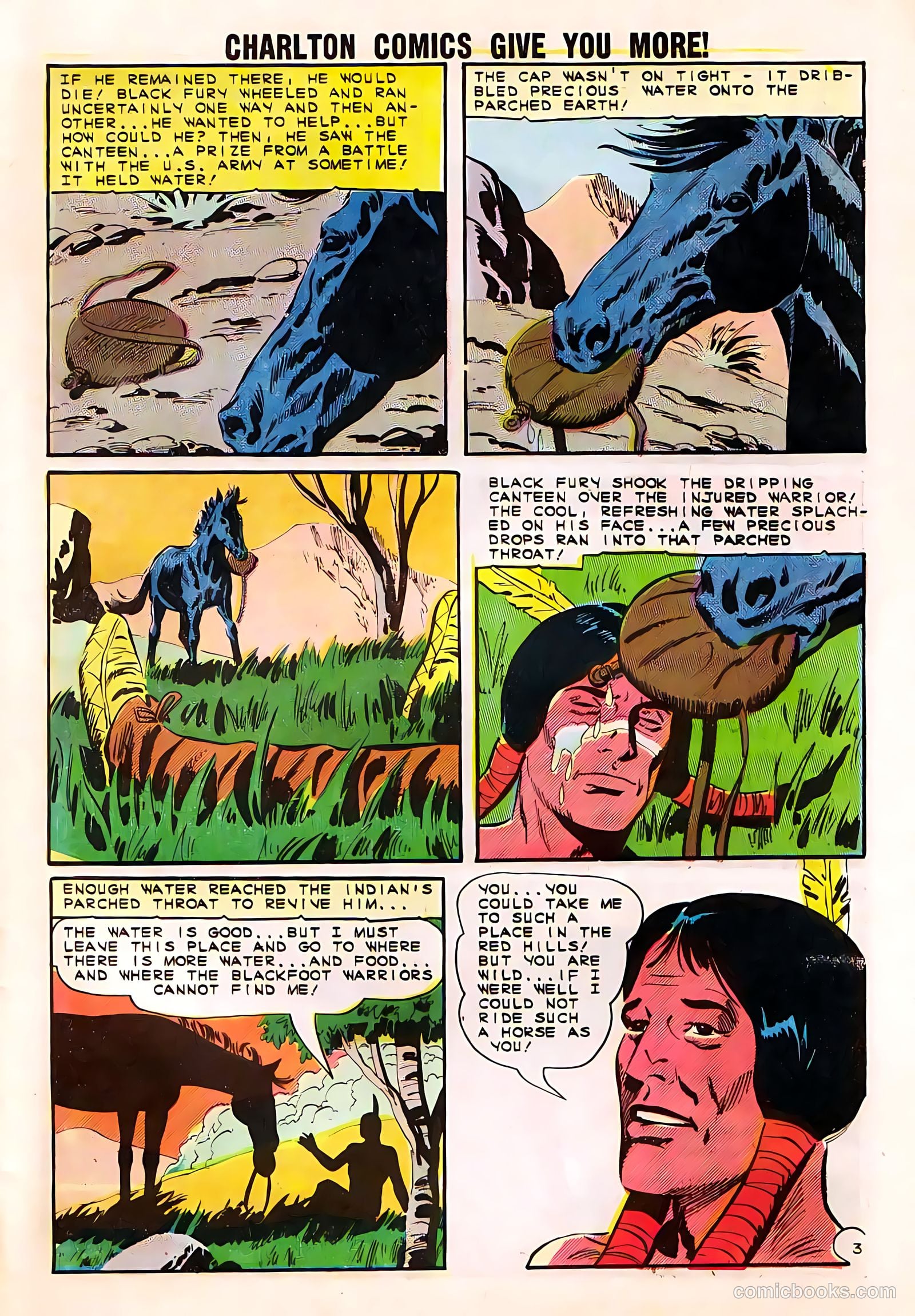 Black Fury #50 — page 27 of 36