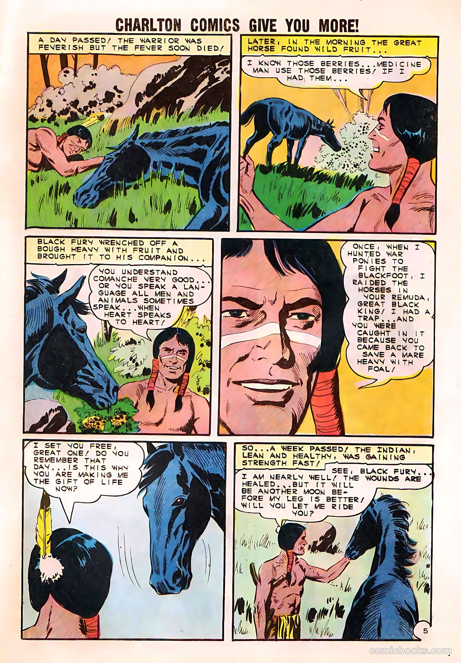 Black Fury #50 — page 29 of 36