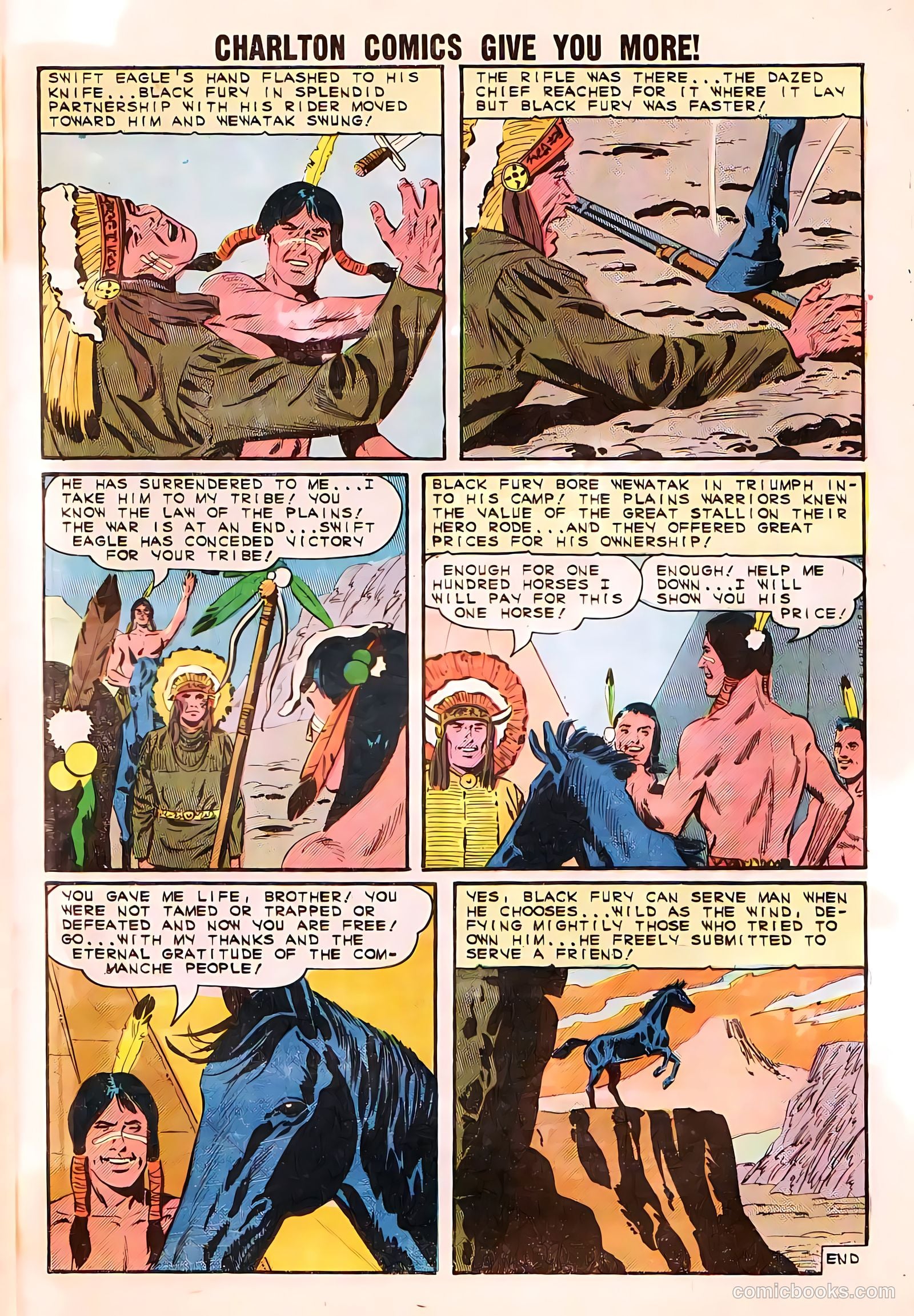 Black Fury #50 — page 33 of 36