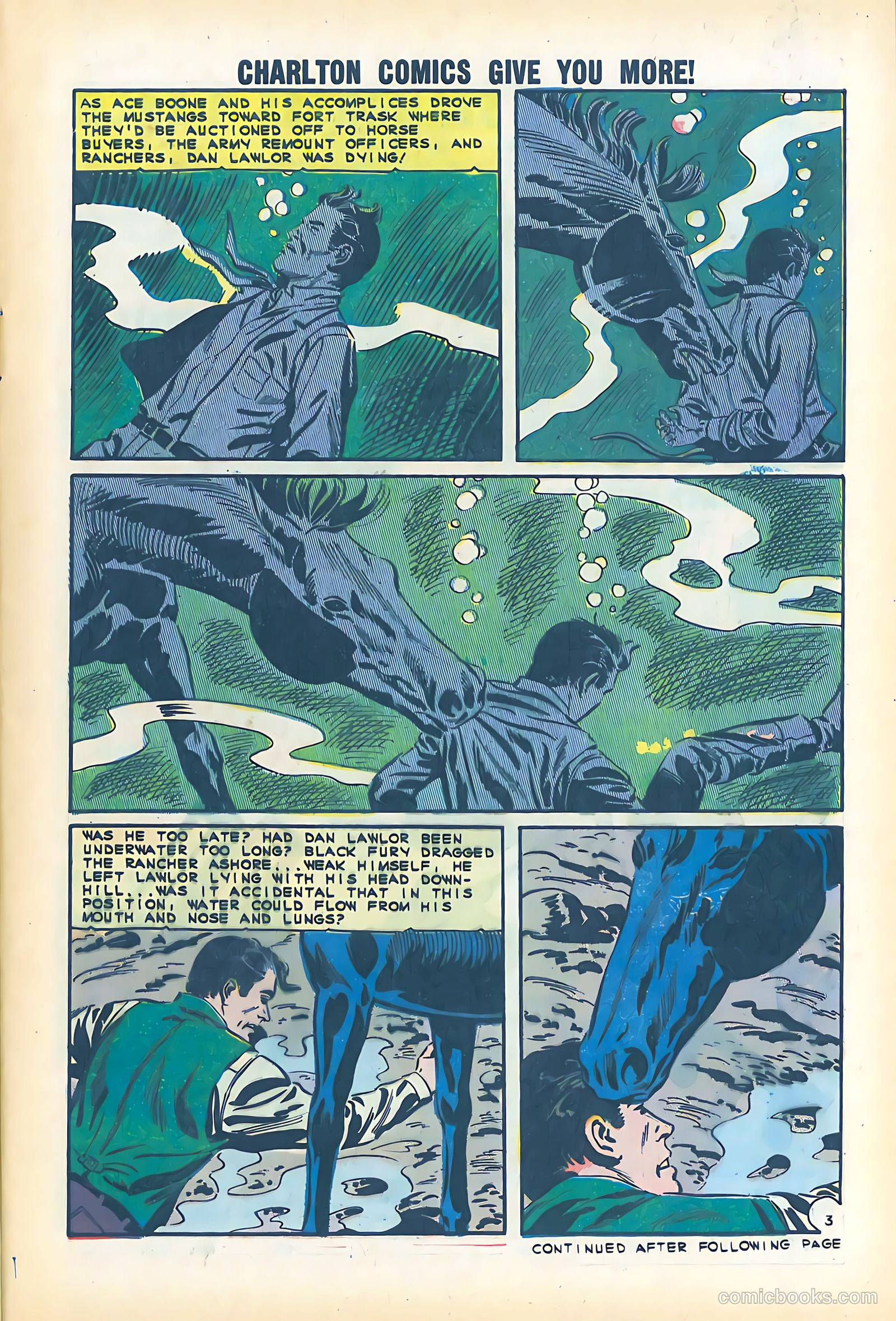 Black Fury #51 — page 5 of 36