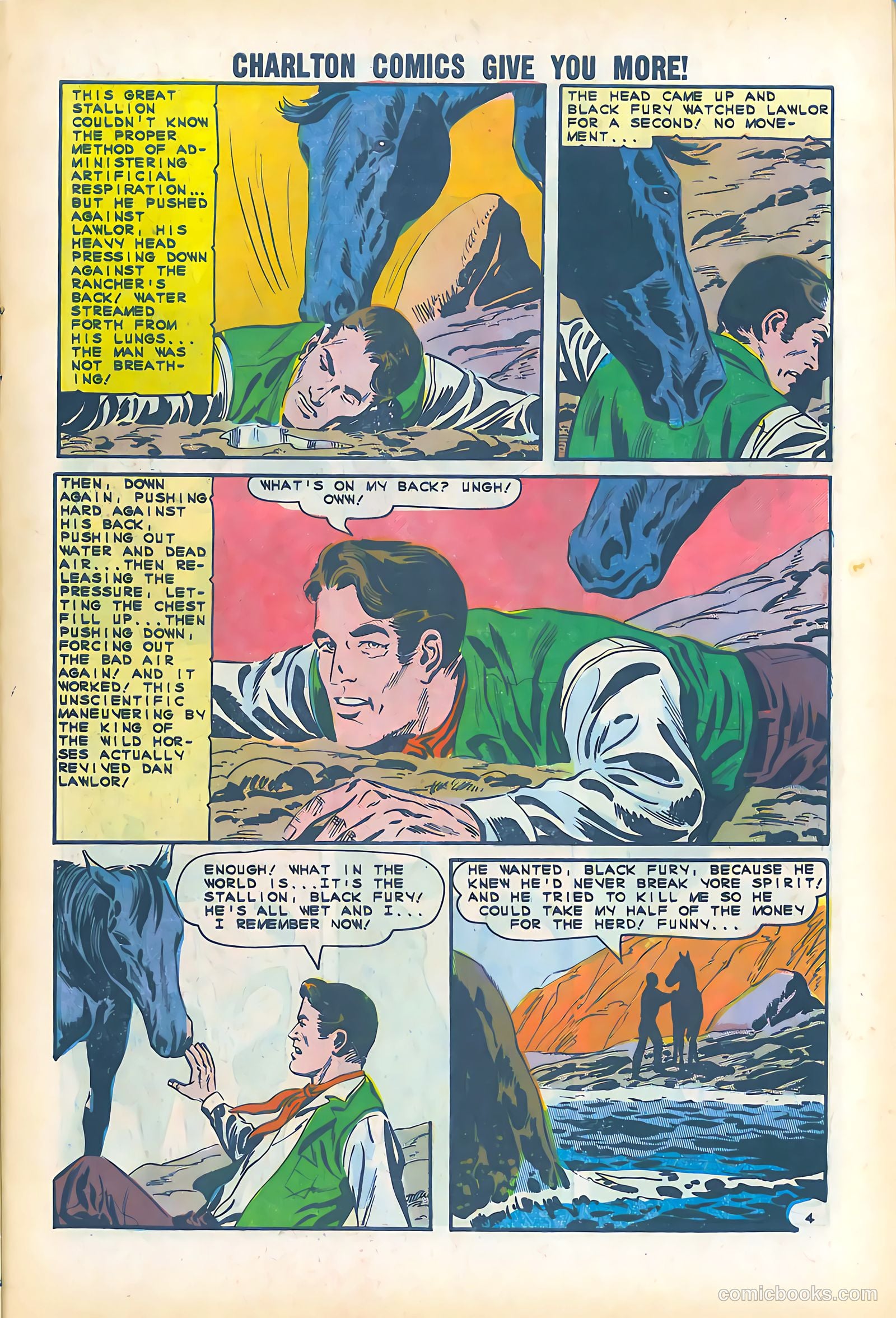 Black Fury #51 — page 7 of 36