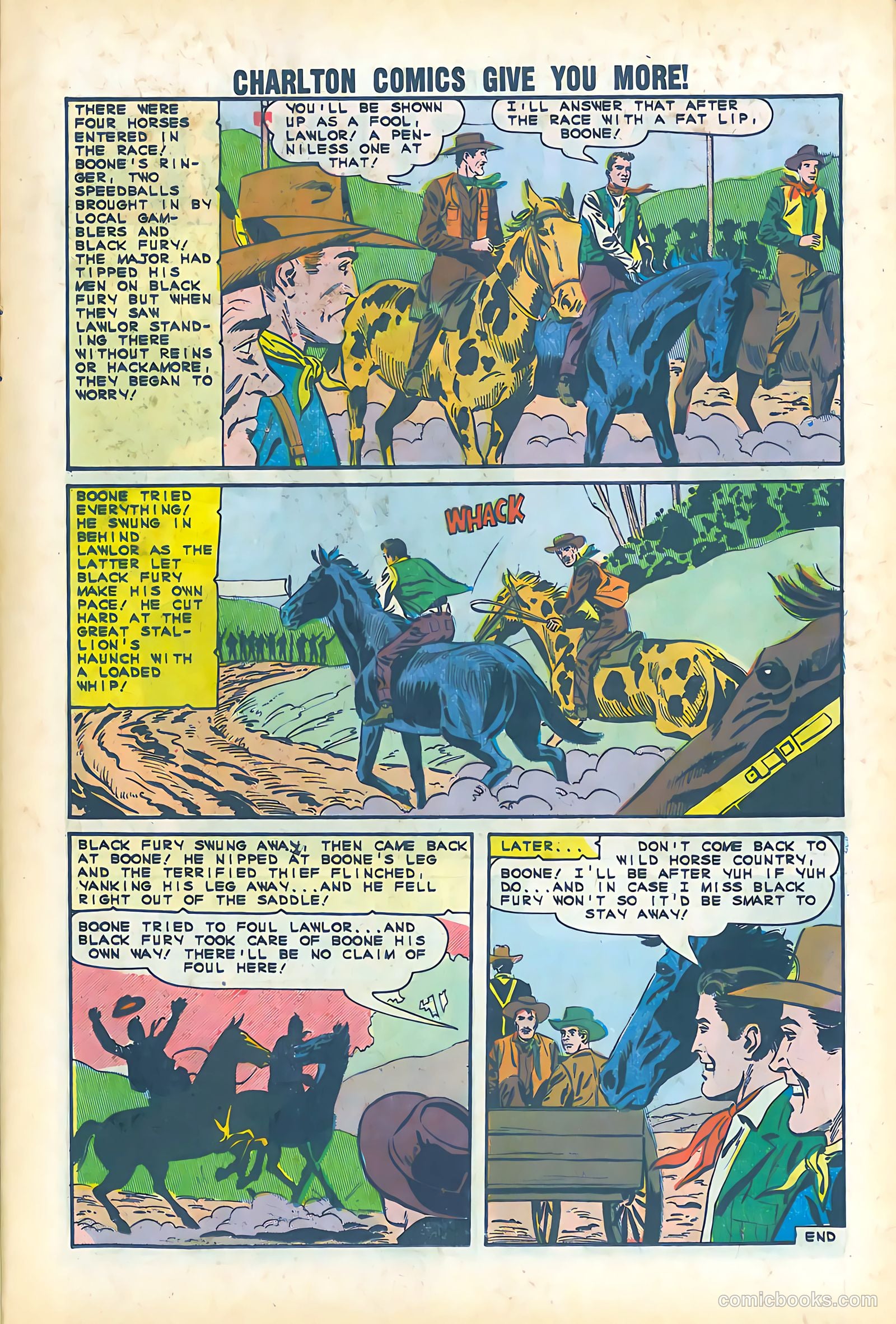 Black Fury #51 — page 11 of 36