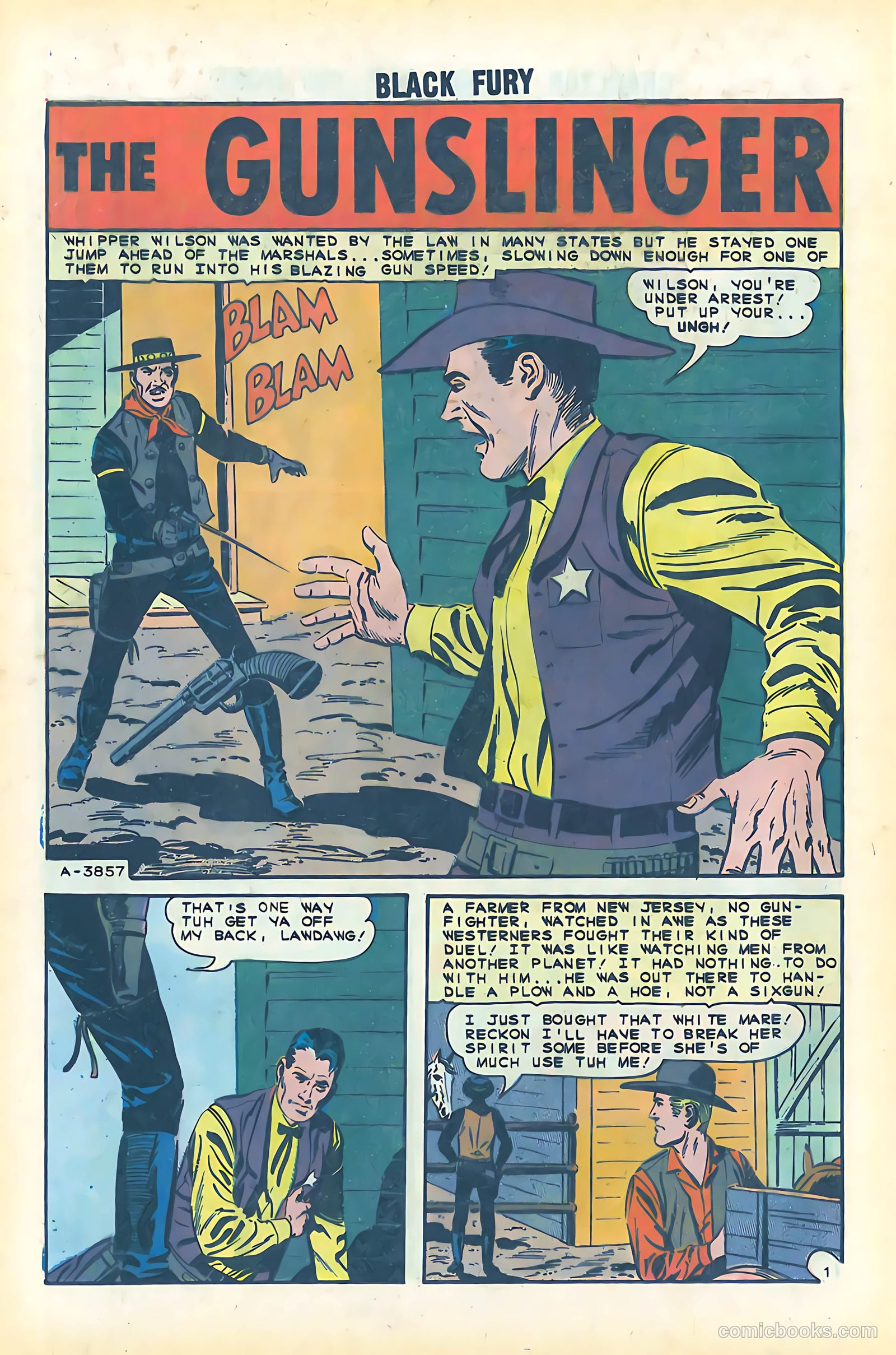 Black Fury #51 — page 12 of 36